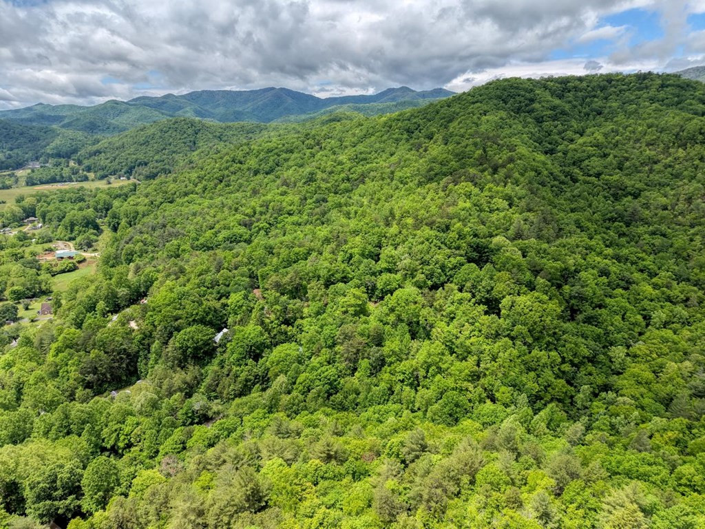 477 Little Snowbird Trail, Marble, NC 28905 Listing Photo  48