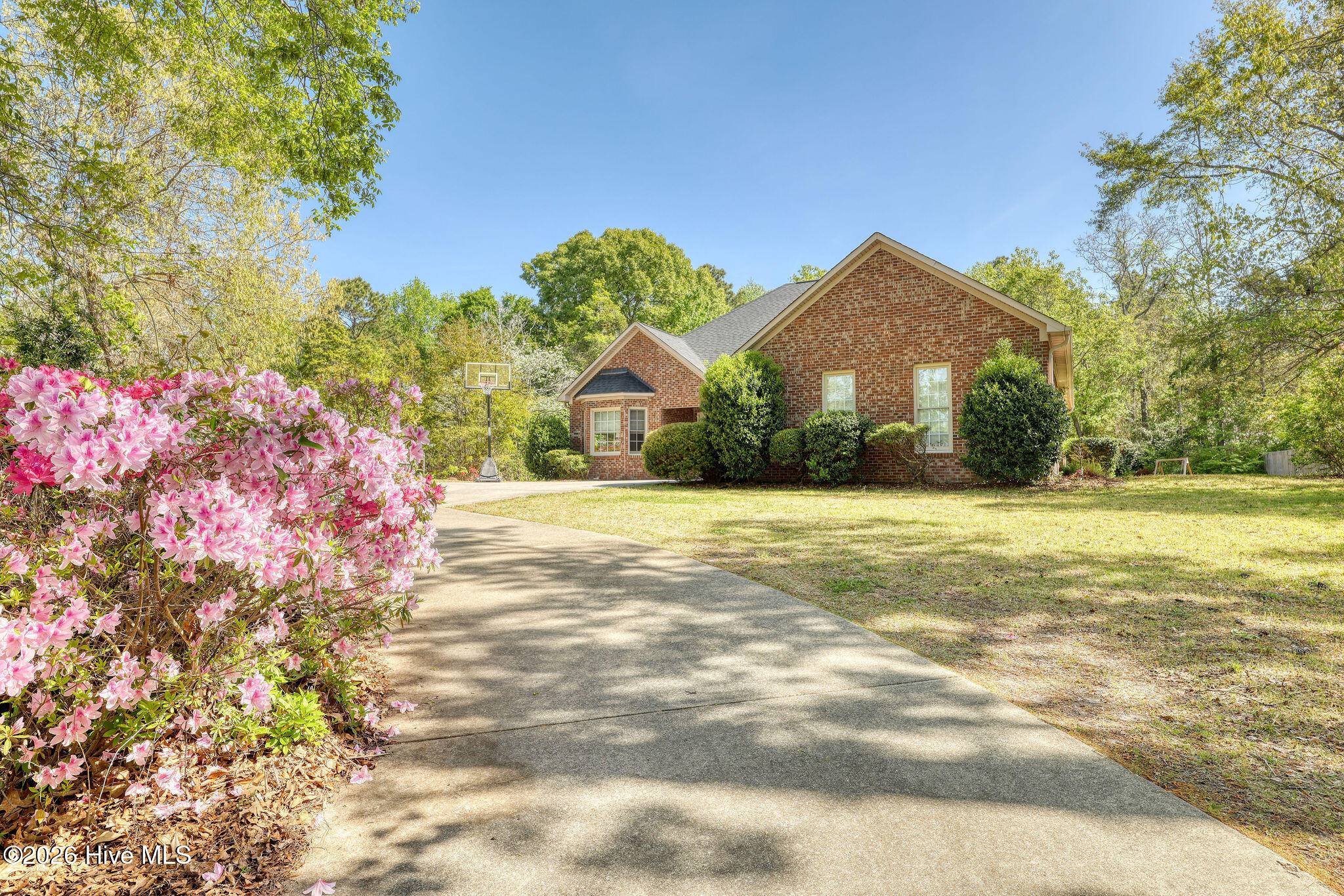 100565672 | Photo 60