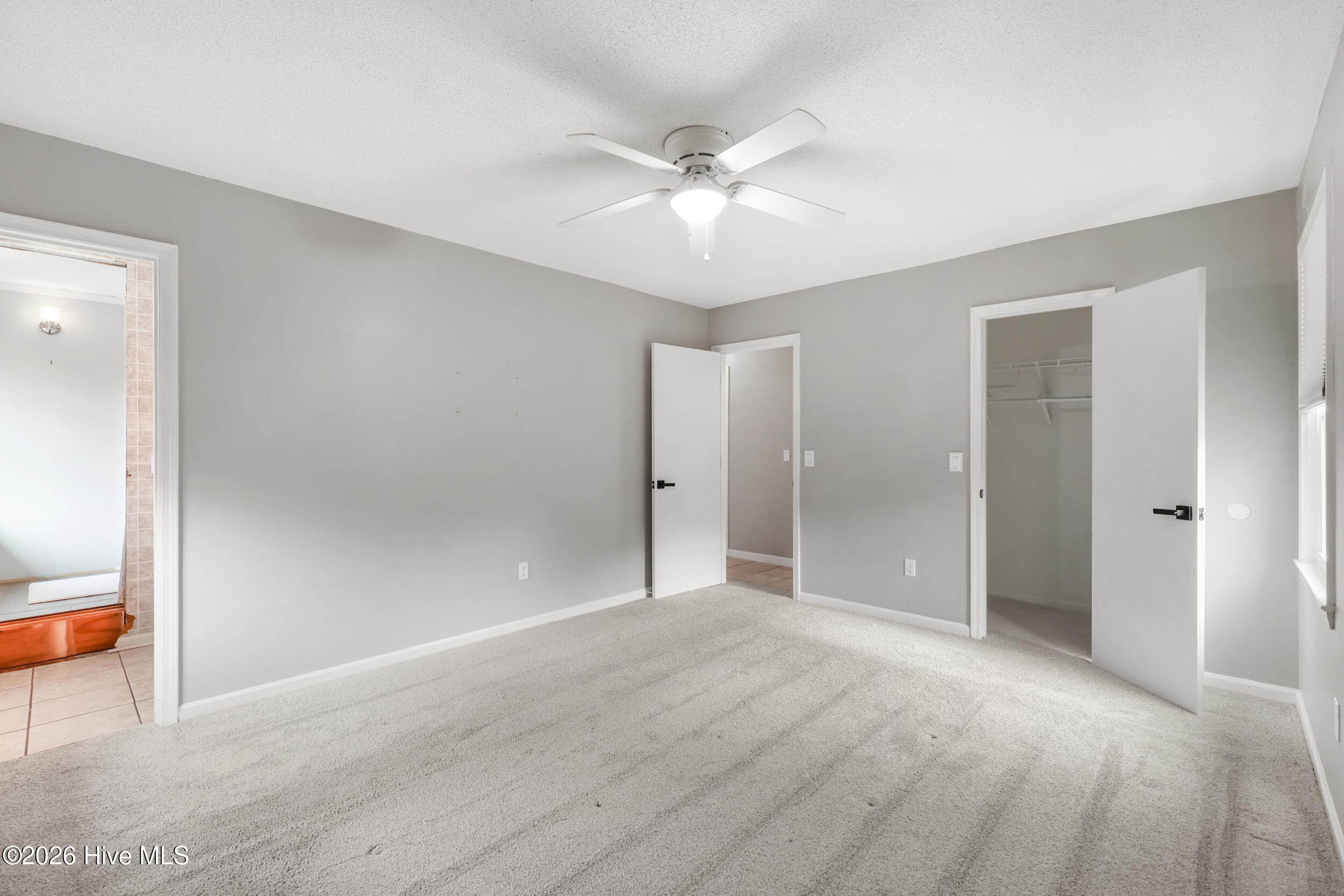 100558857 | Photo 19