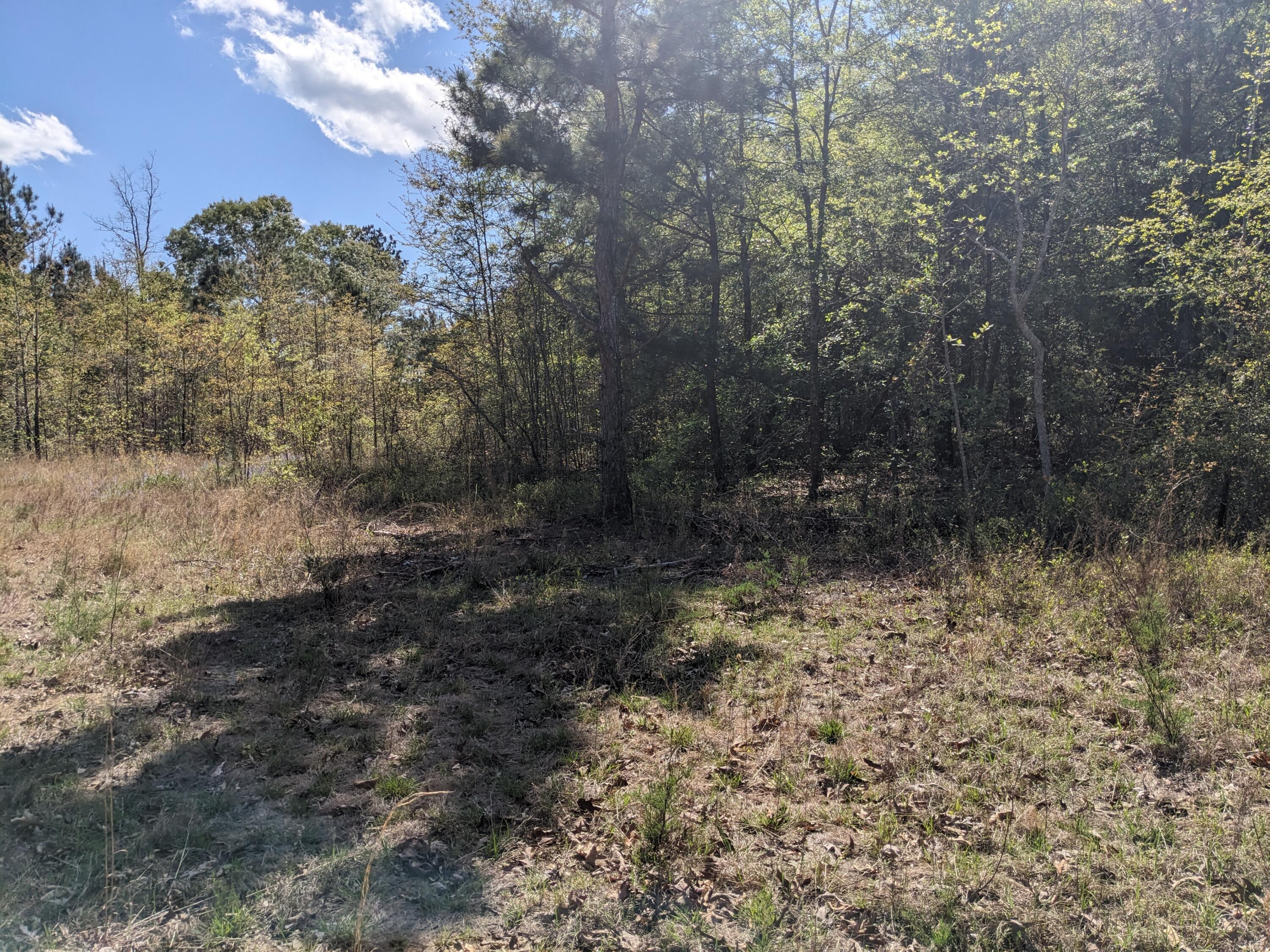 Photo 4 of Land for sale at 4781 Deans Brg Rd, Blythe, GA 30805 | MLS# 100603663 | Listing updated on 2026-09-15