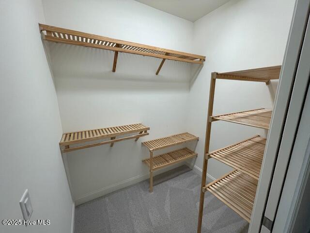 100546789 | Photo 19