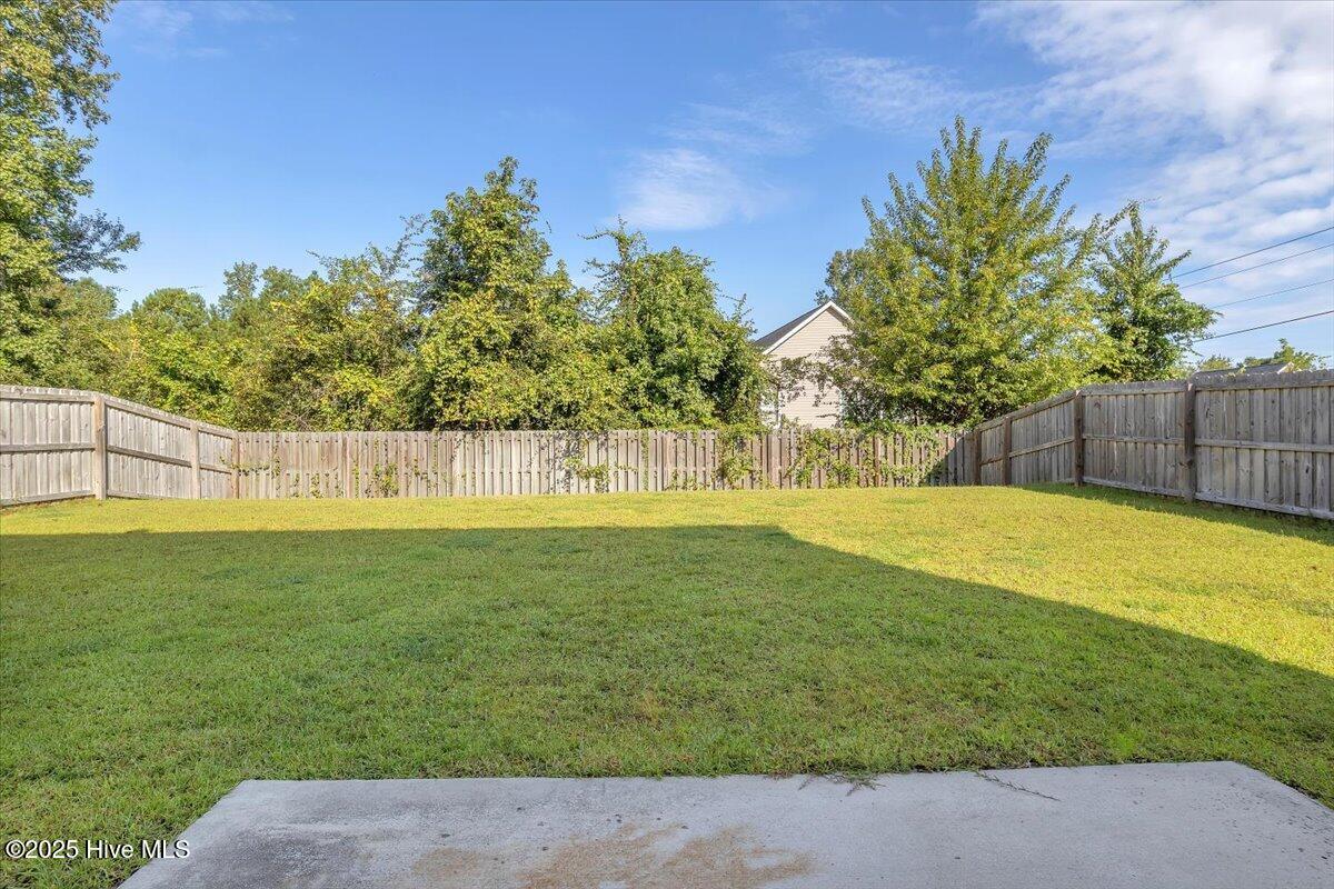 100532836 | Photo 27