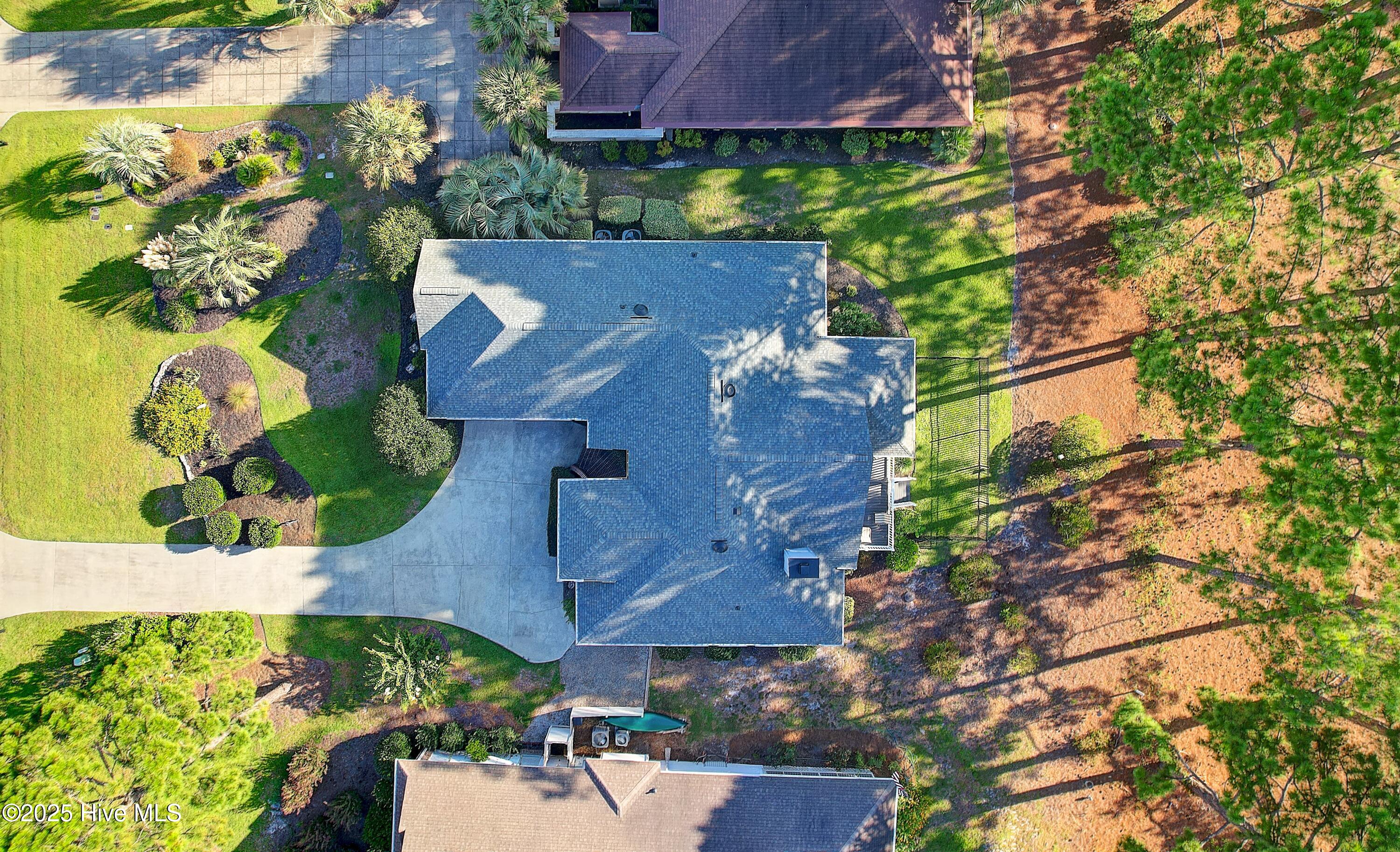 100531039 | Photo 42