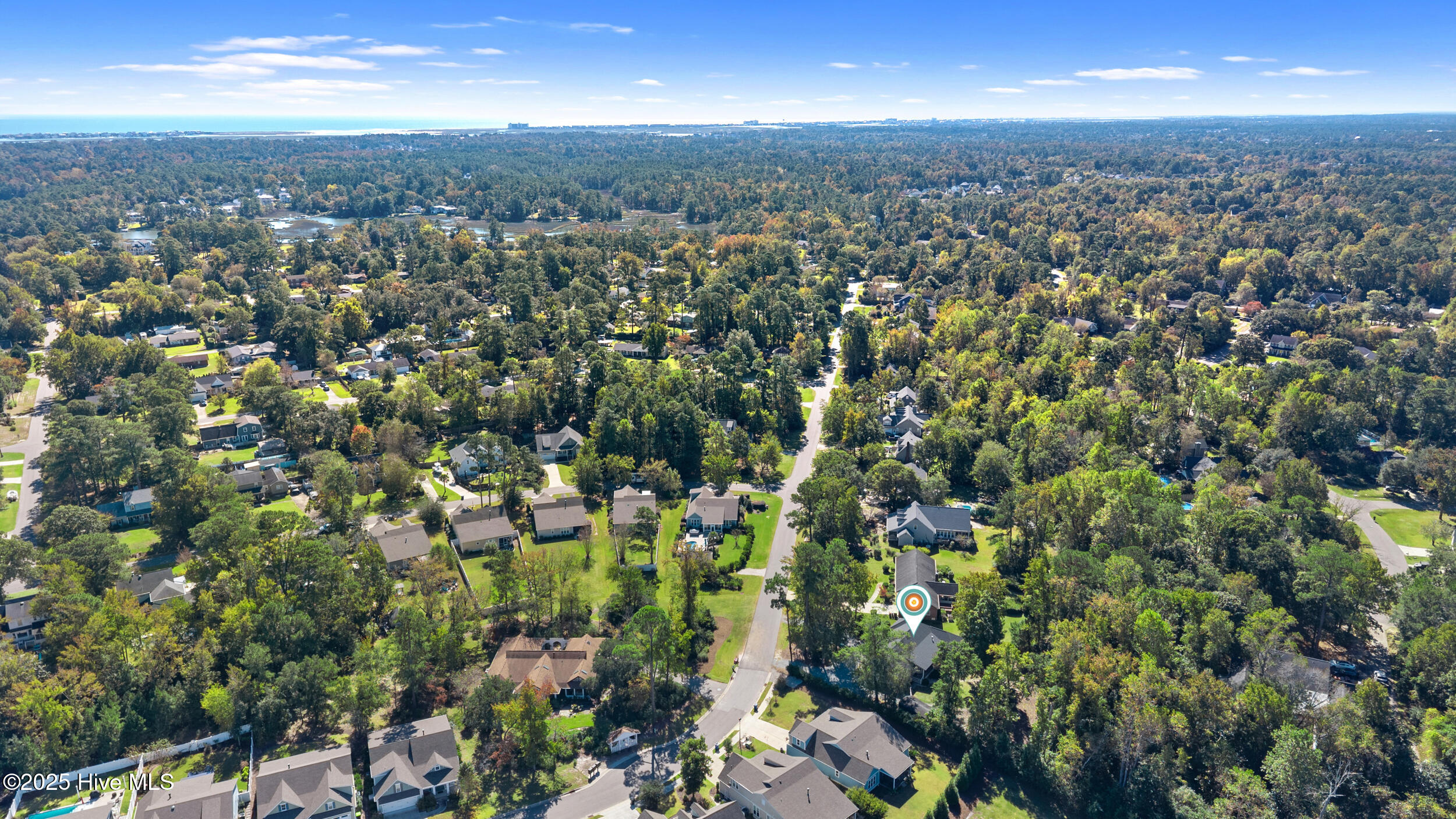 100537755 | Photo 47