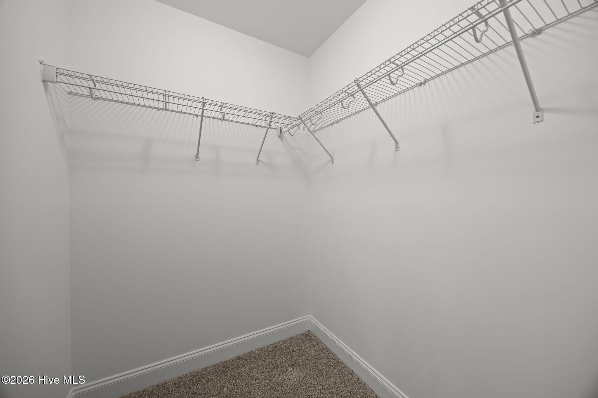 332 Gerbera Court, Greenville, NC, 27858