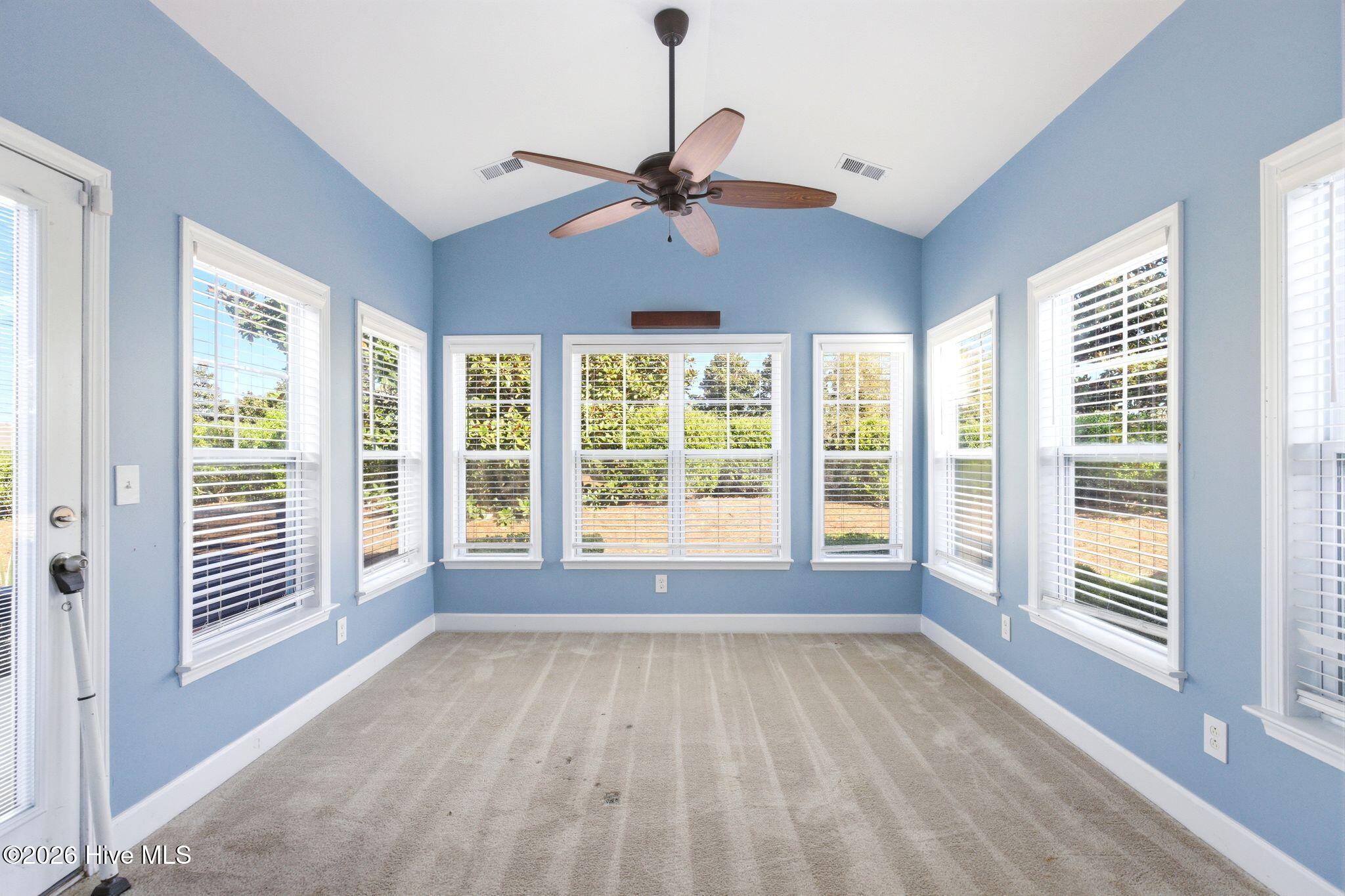 100564398 | Photo 17