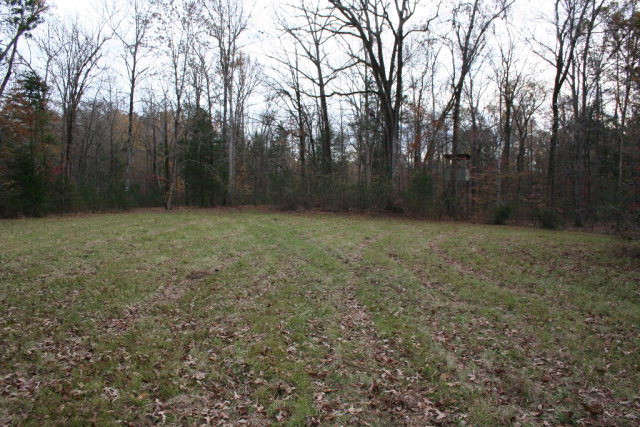 Double Branches Road, Lincolnton, GA 30817 Listing Photo  17