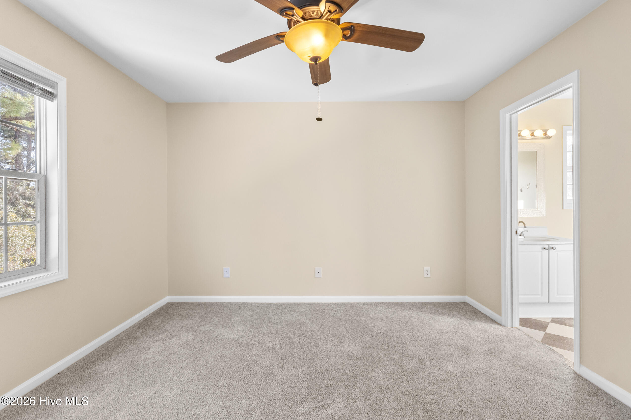 100553559 | Photo 14