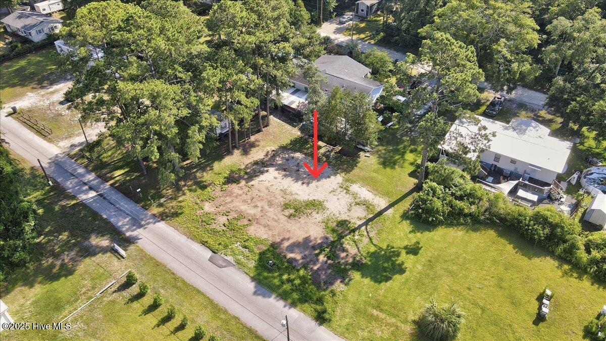 100568566 | Photo 15