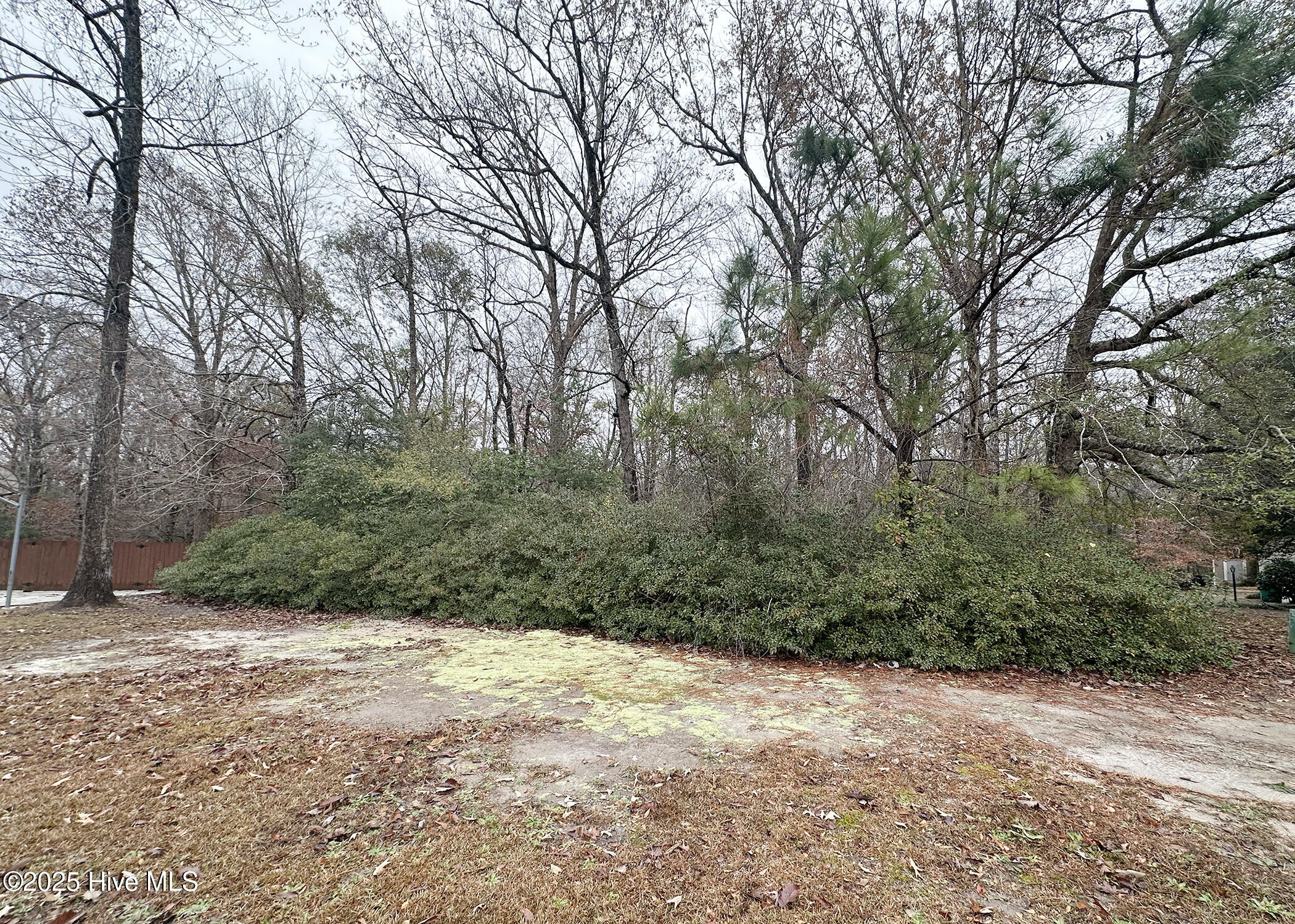 100544373 | Photo 12