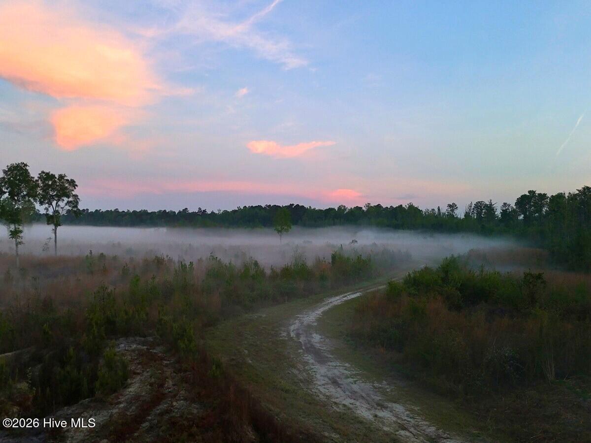 0 Durwood Evans Road, Beulaville, NC, 28518
