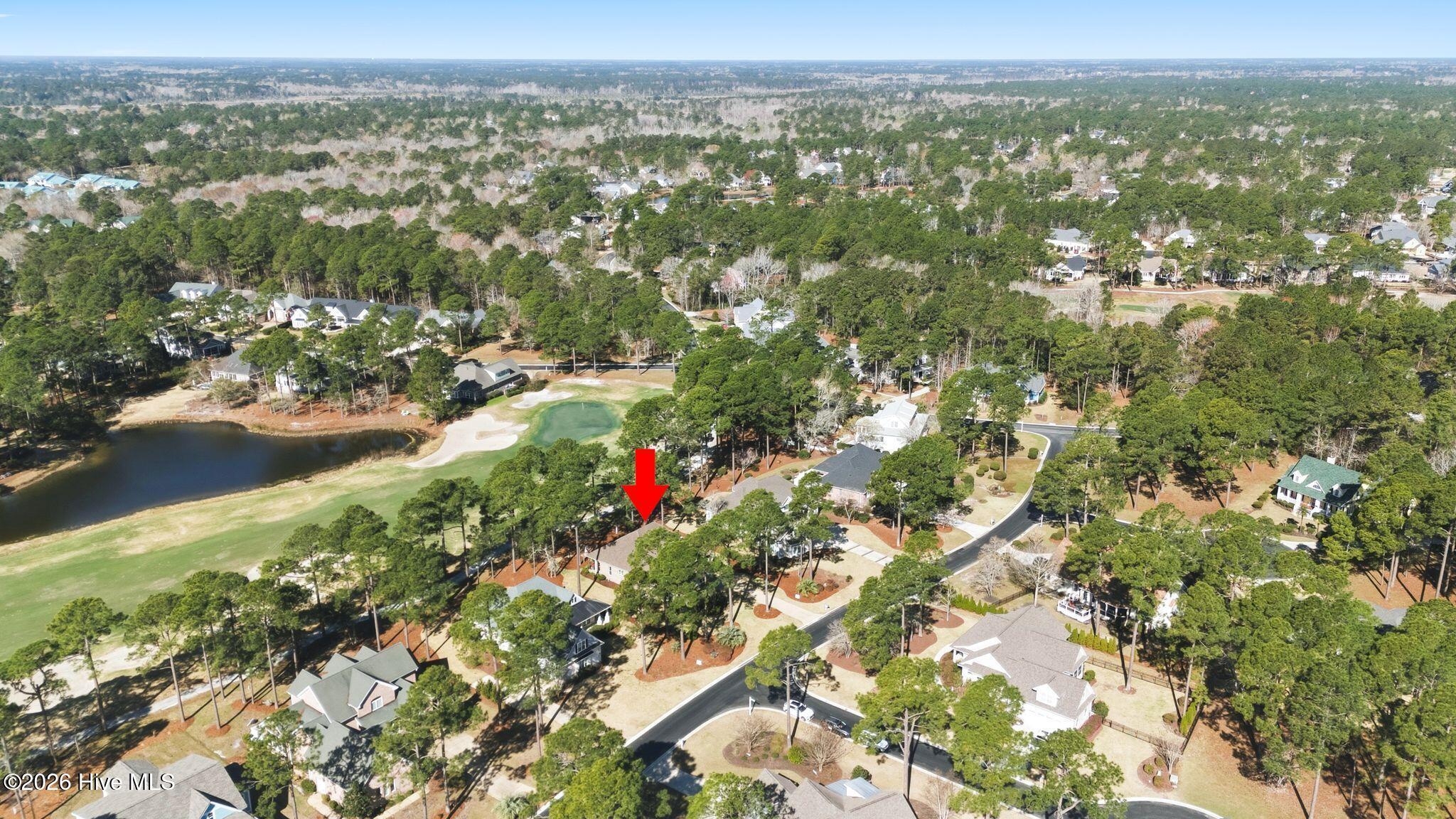 100564432 | Photo 97