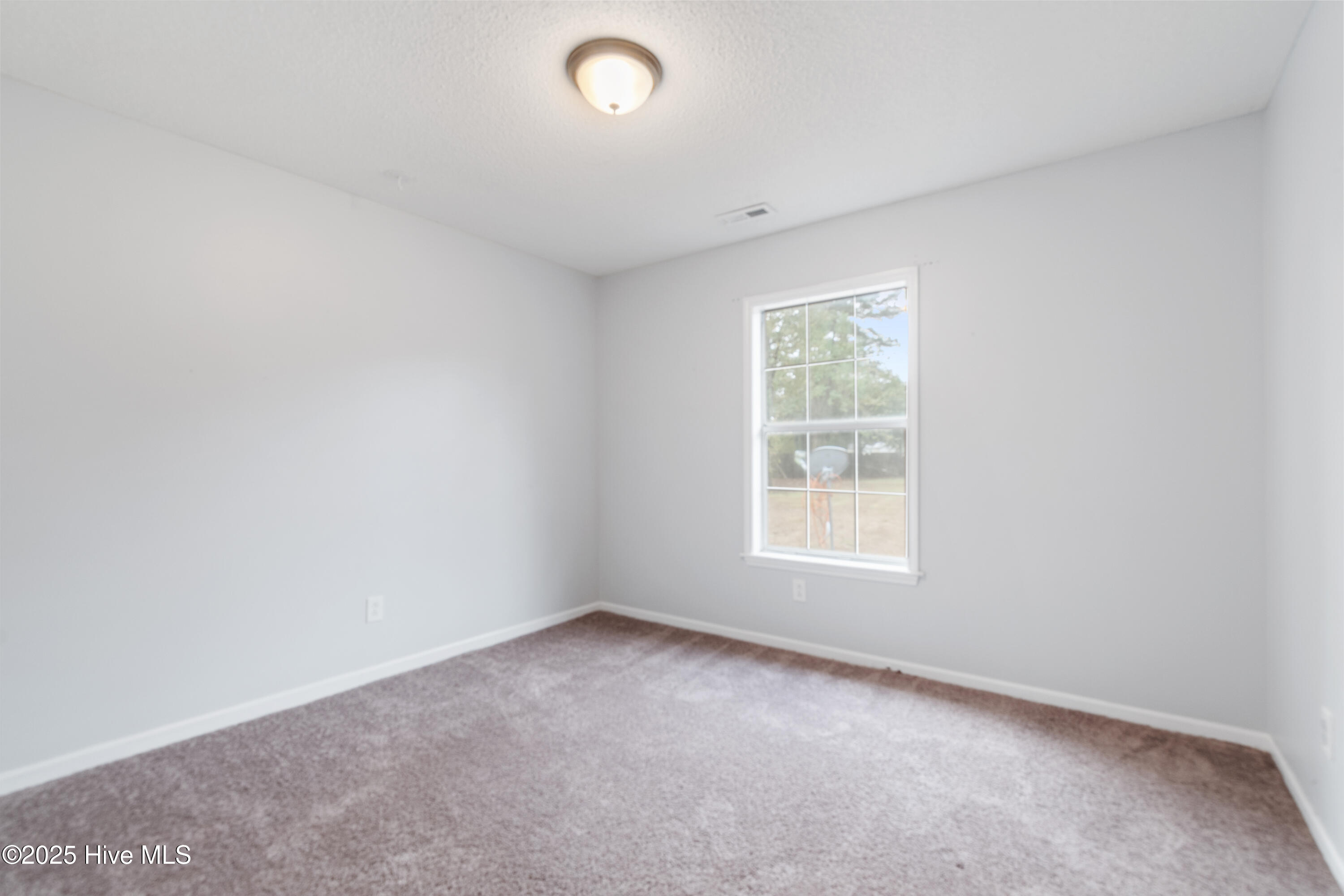 100539180 | Photo 14