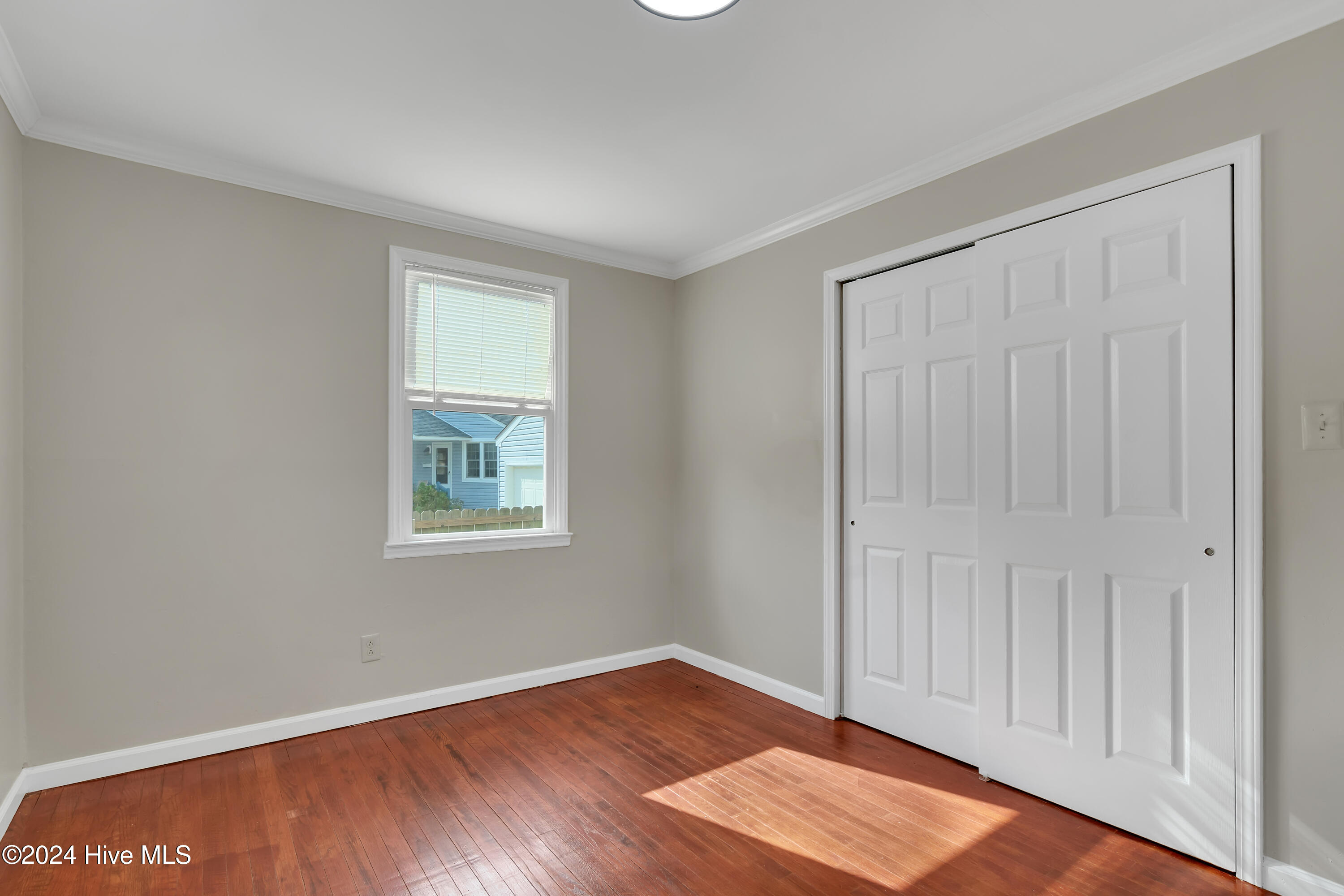 100563647 | Photo 11