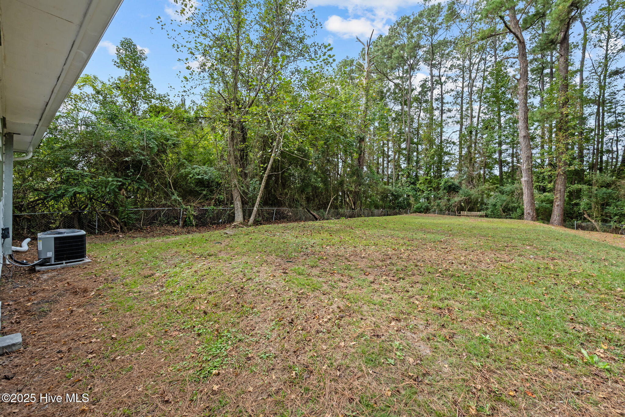 100536002 | Photo 43