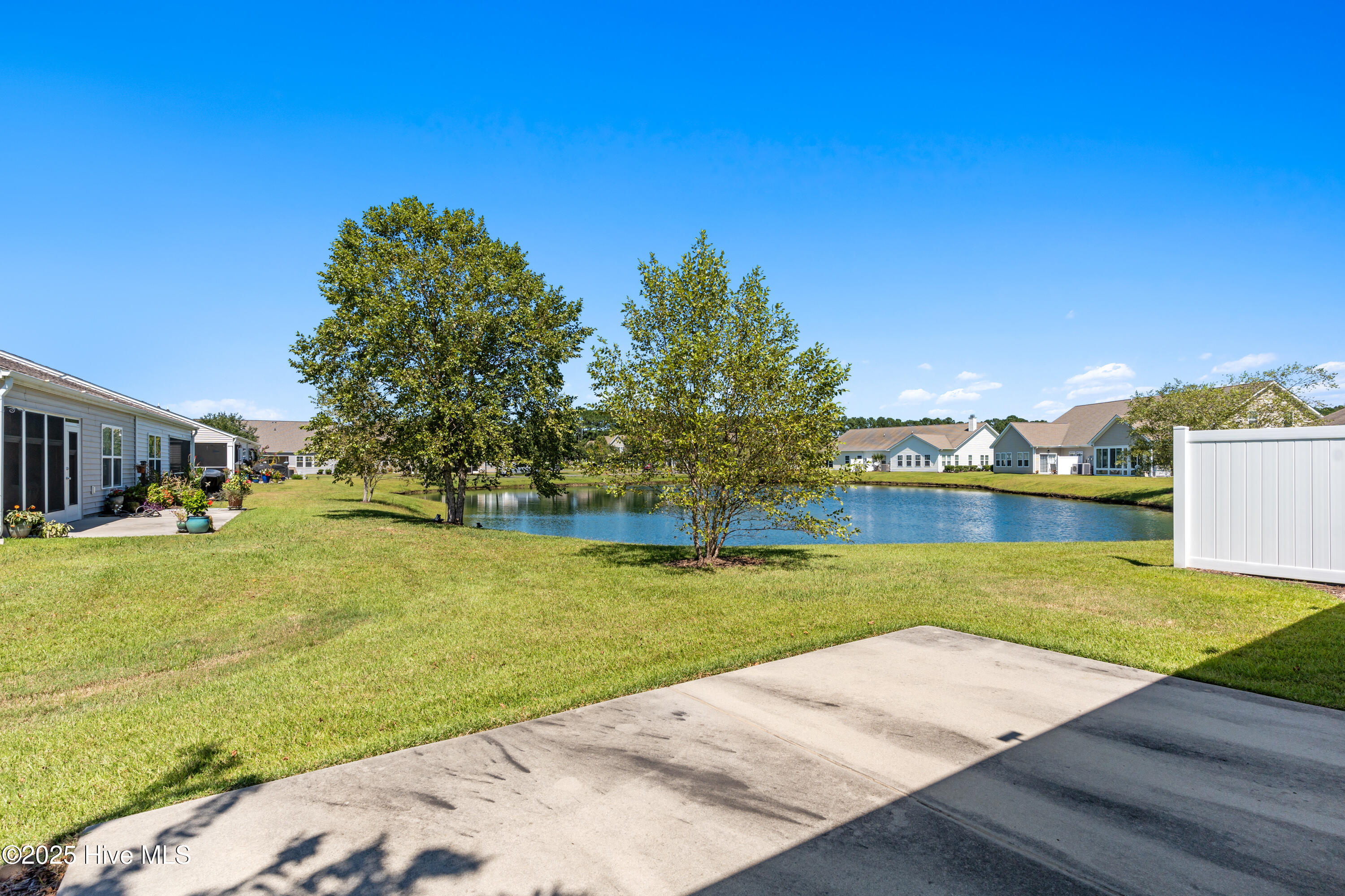 100529501 | Photo 31