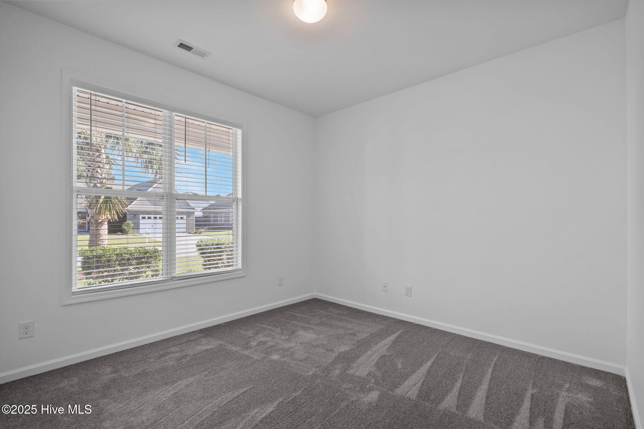 100547166 | Photo 23