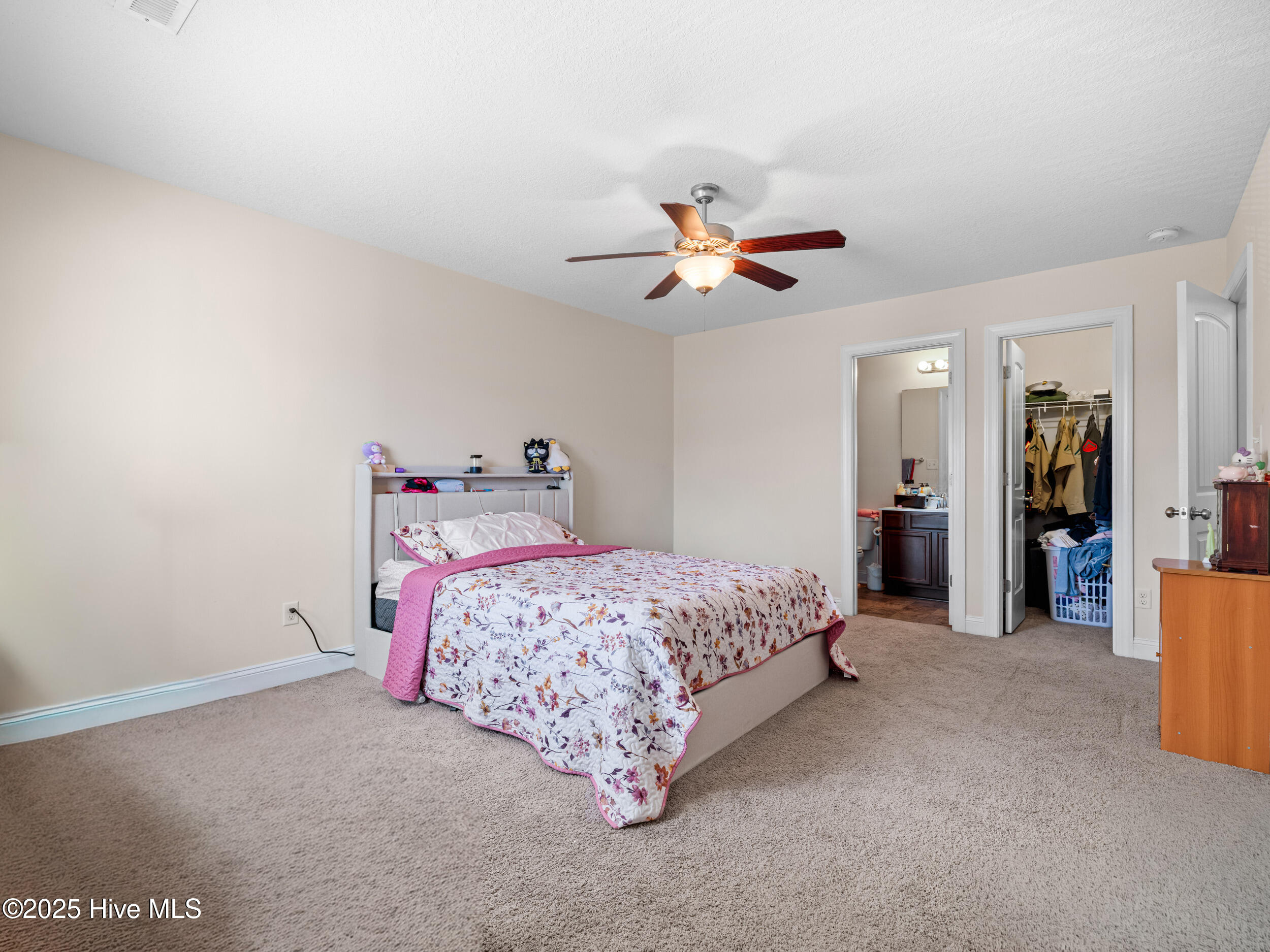 100541514 | Photo 25