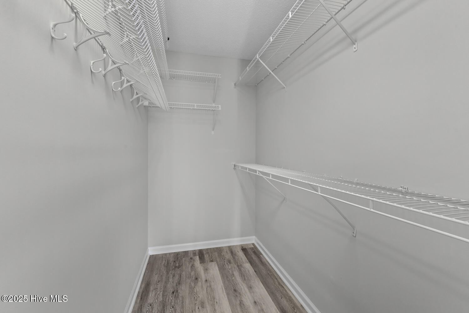 100541335 | Photo 21