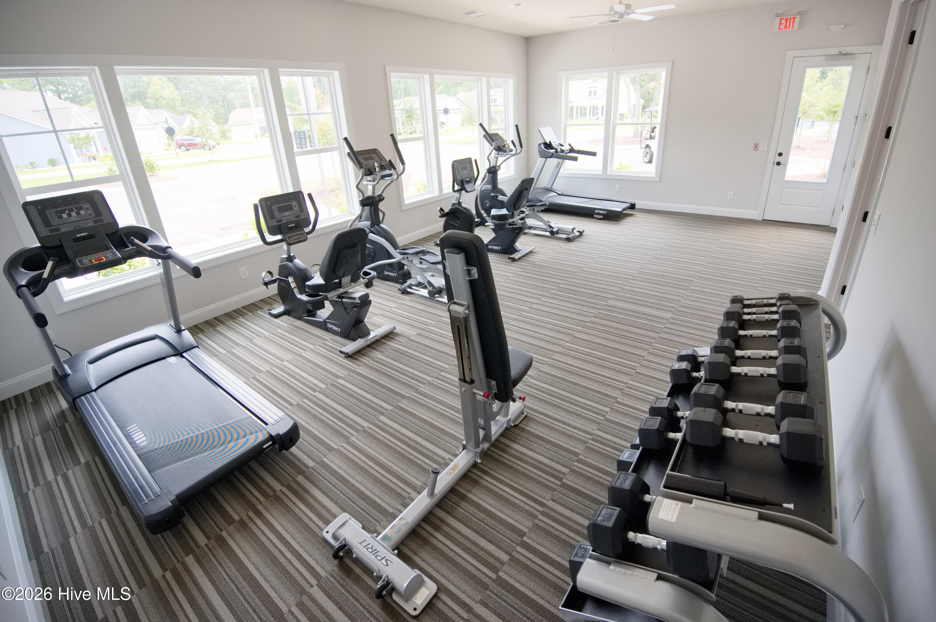 100559386 | Photo 58