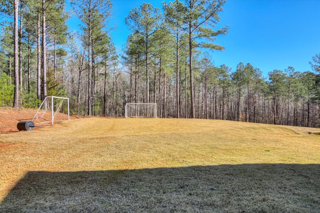 1076 Providence Ferry Road, Lincolnton, GA 30817 Listing Photo  53