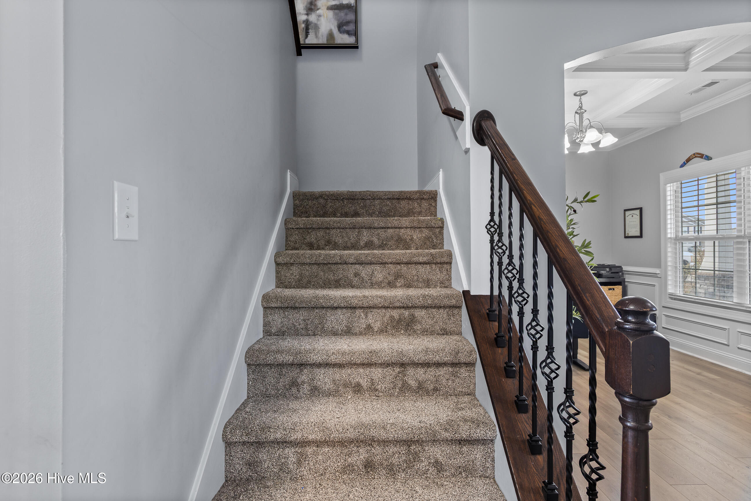 100556437 | Photo 18