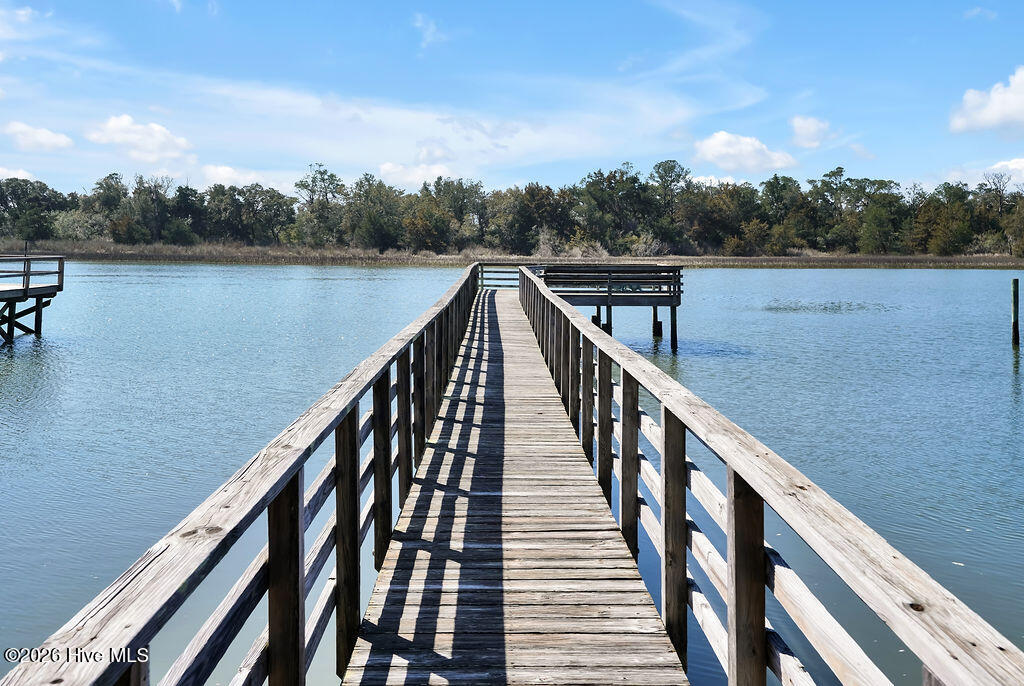 100559547 | Photo 37