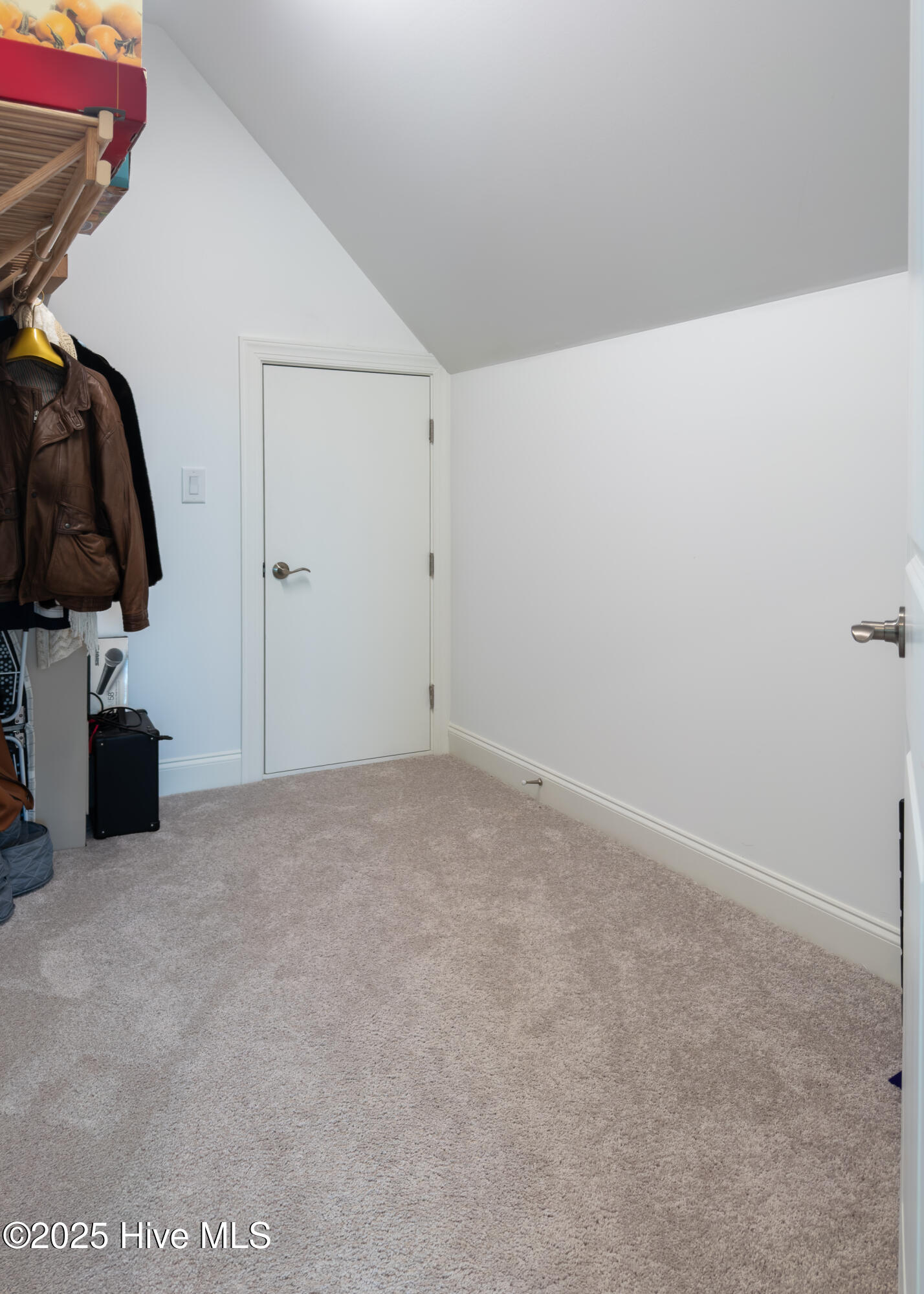 100541746 | Photo 51