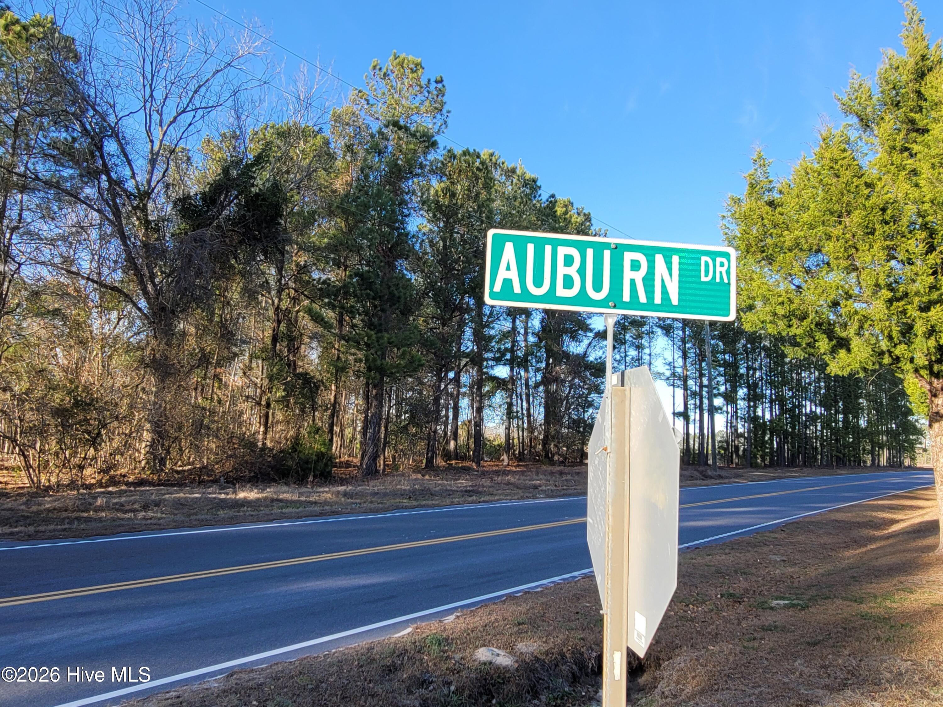 Homes for sale in Loris, SC | Tbd Lot 1 Auburn Dr, Loris, SC 29569 | MLS# 100549137