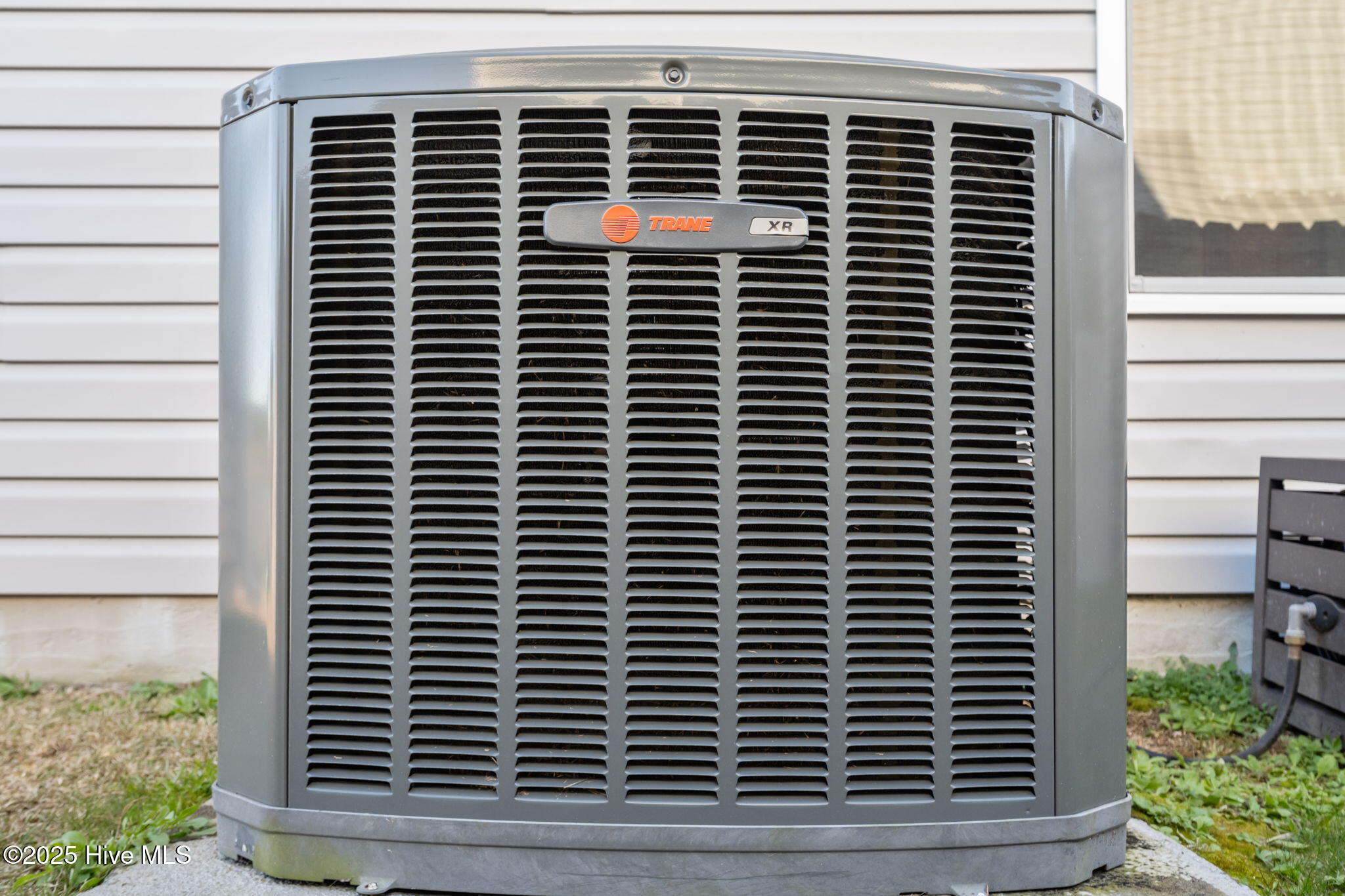 100544347 | Photo 54