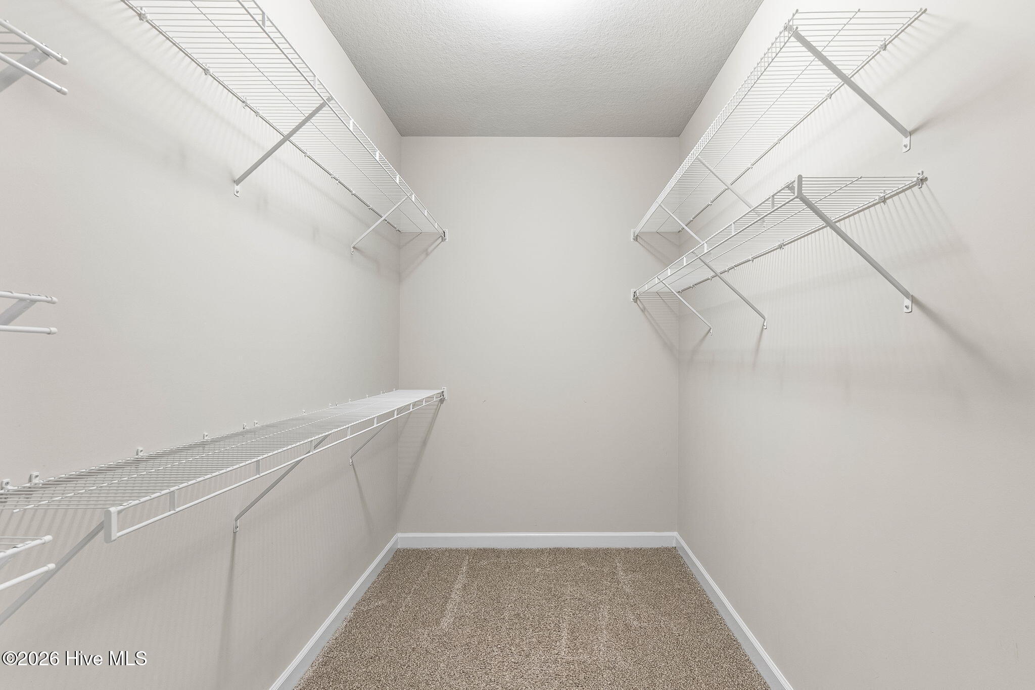 100558093 | Photo 20