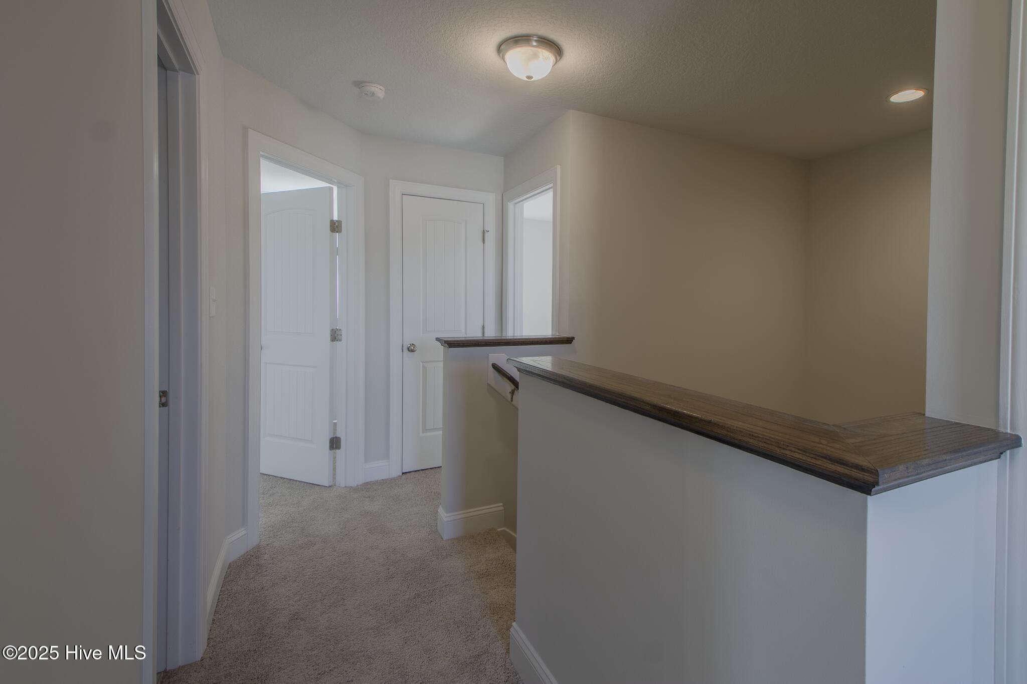 100505721 | Photo 12