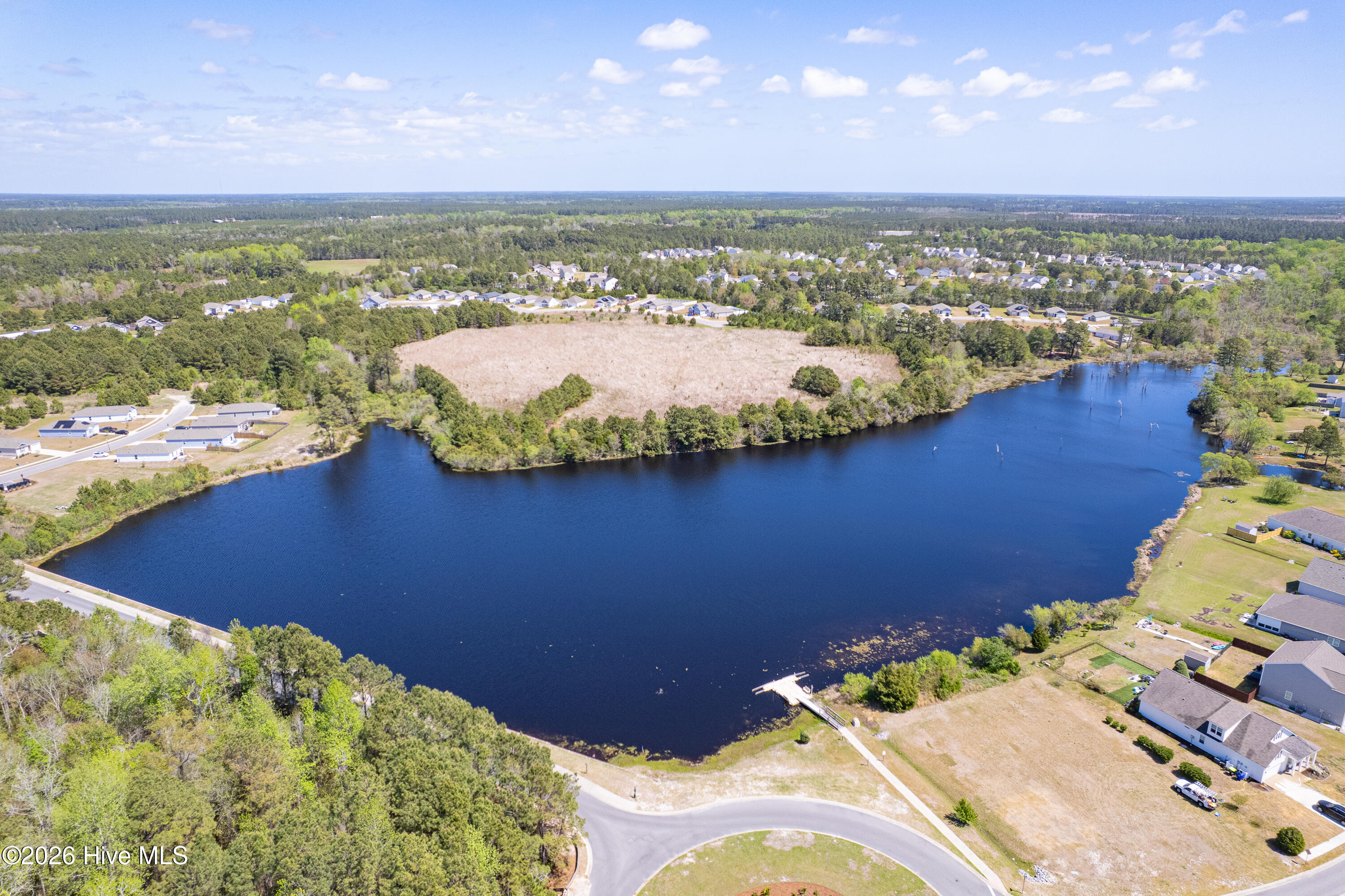 100565861 | Photo 78