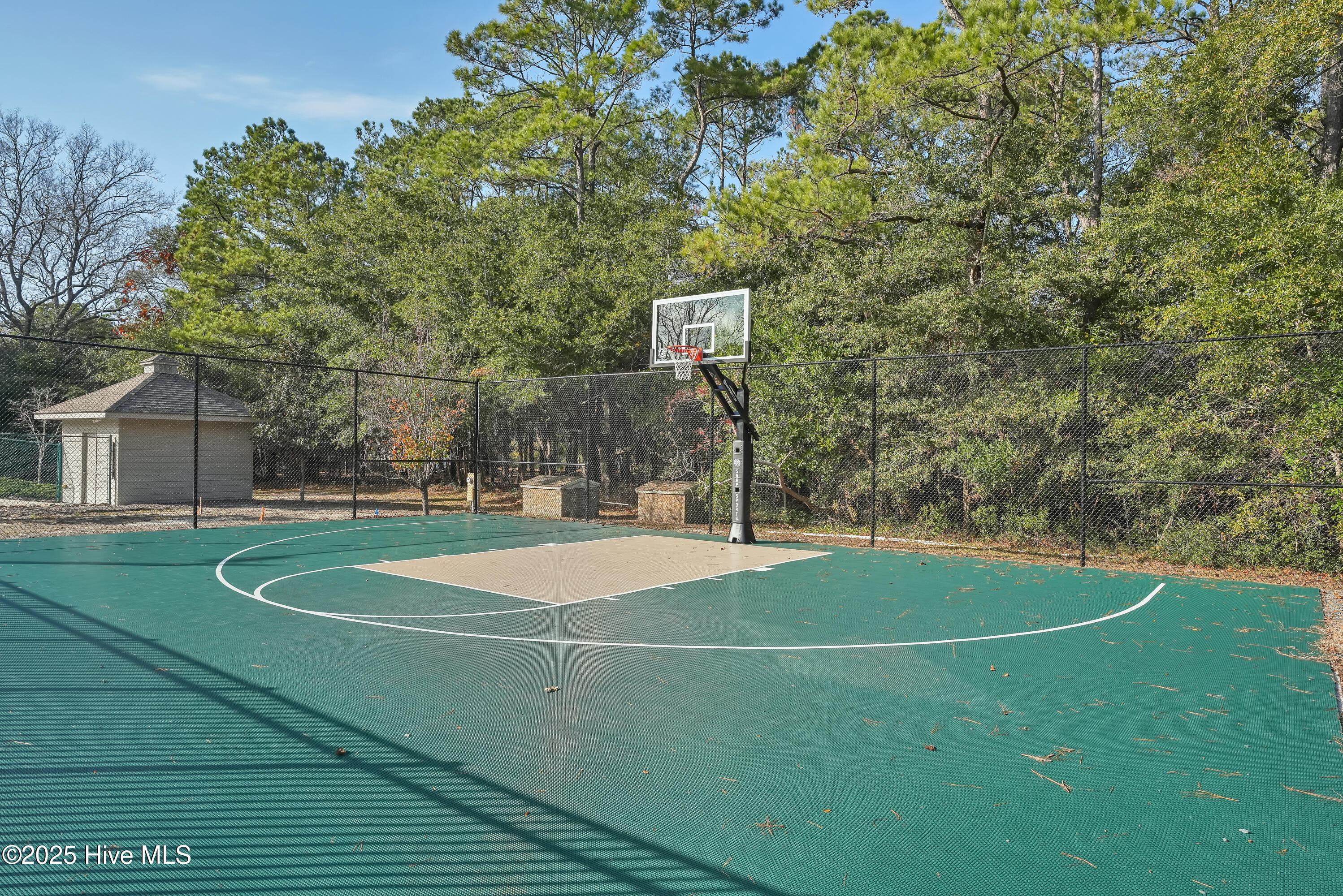 100536639 | Photo 78