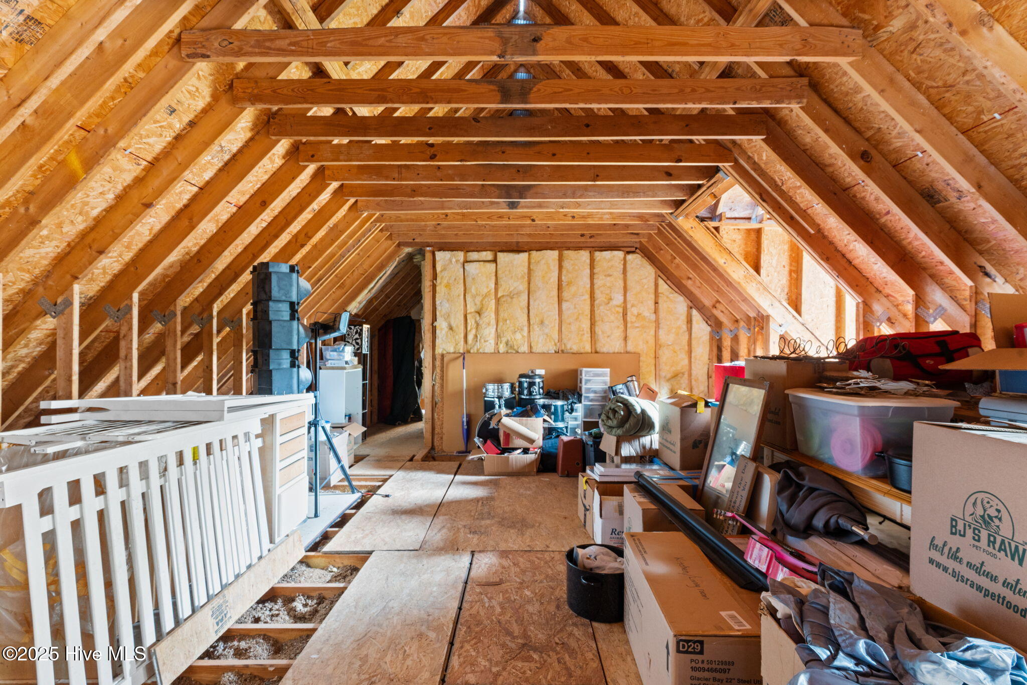 100531169 | Photo 51