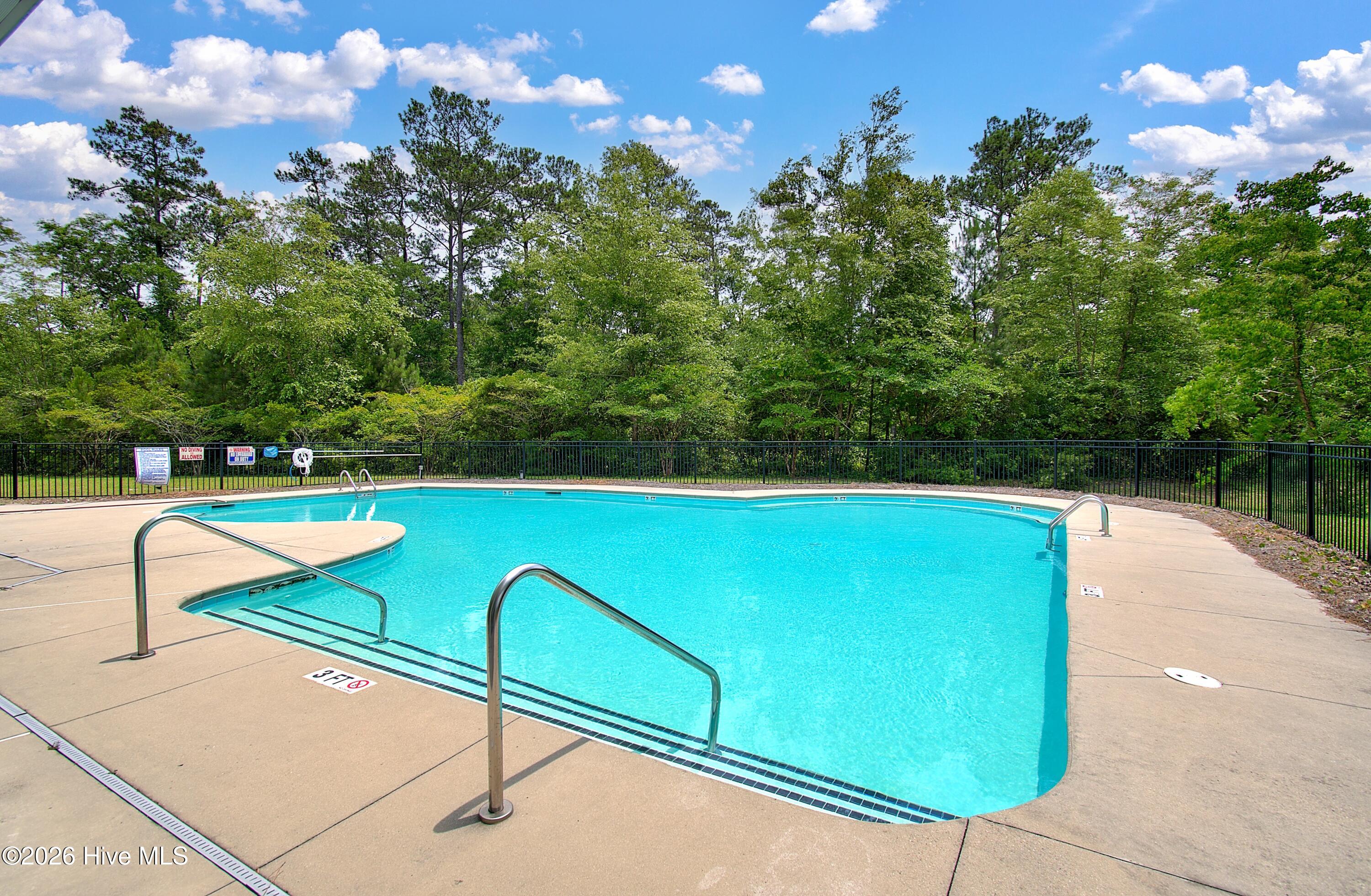 100565017 | Photo 81