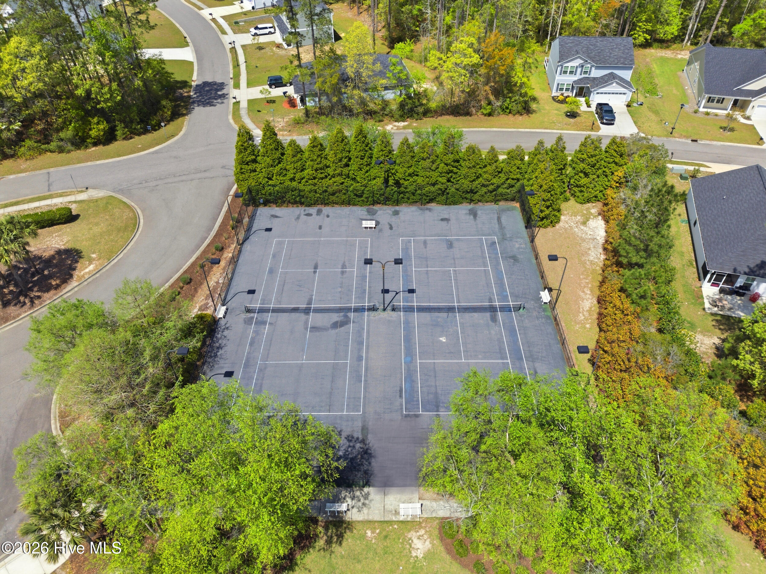 100565948 | Photo 59