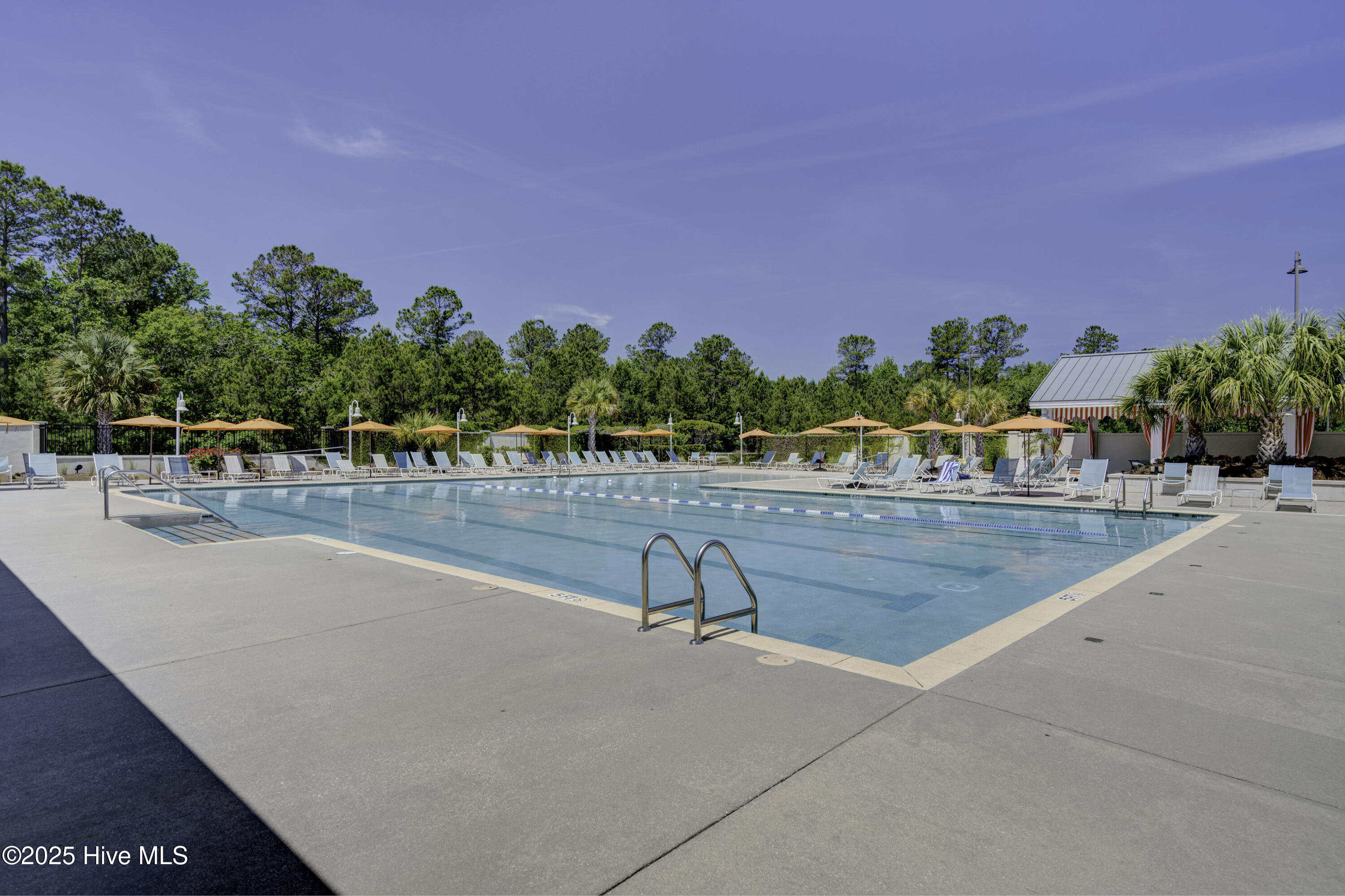 100547164 | Photo 69