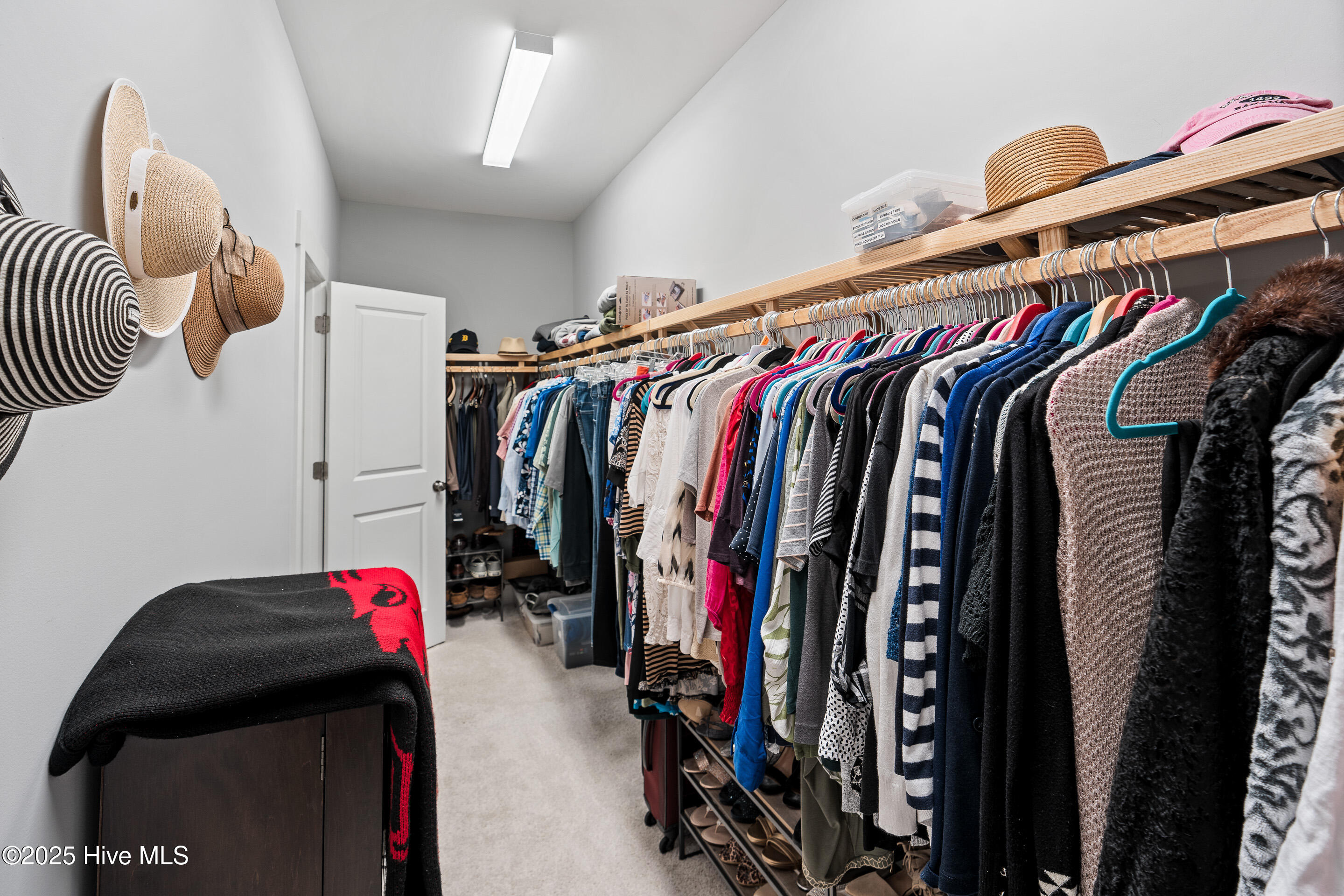 100535201 | Photo 23