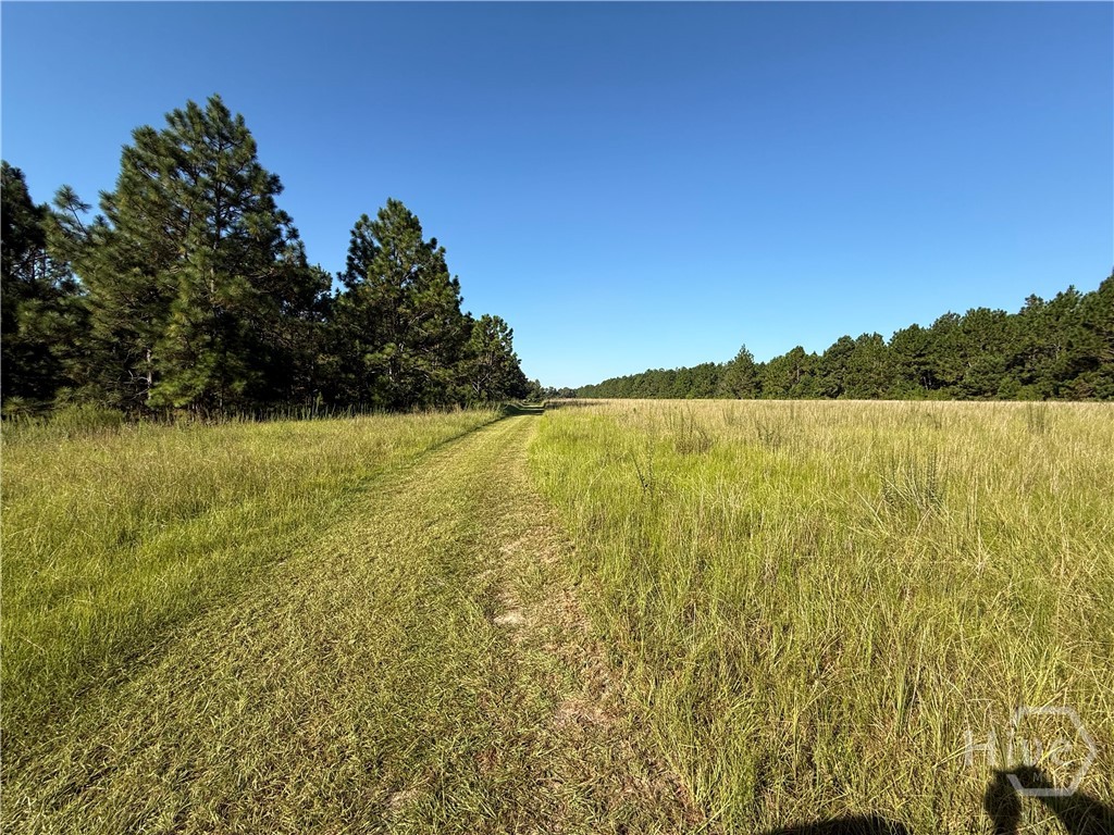 3rd image of 0 Sunbury Rd #Tract 4, Claxton, GA 30417 | MLS# SA339073