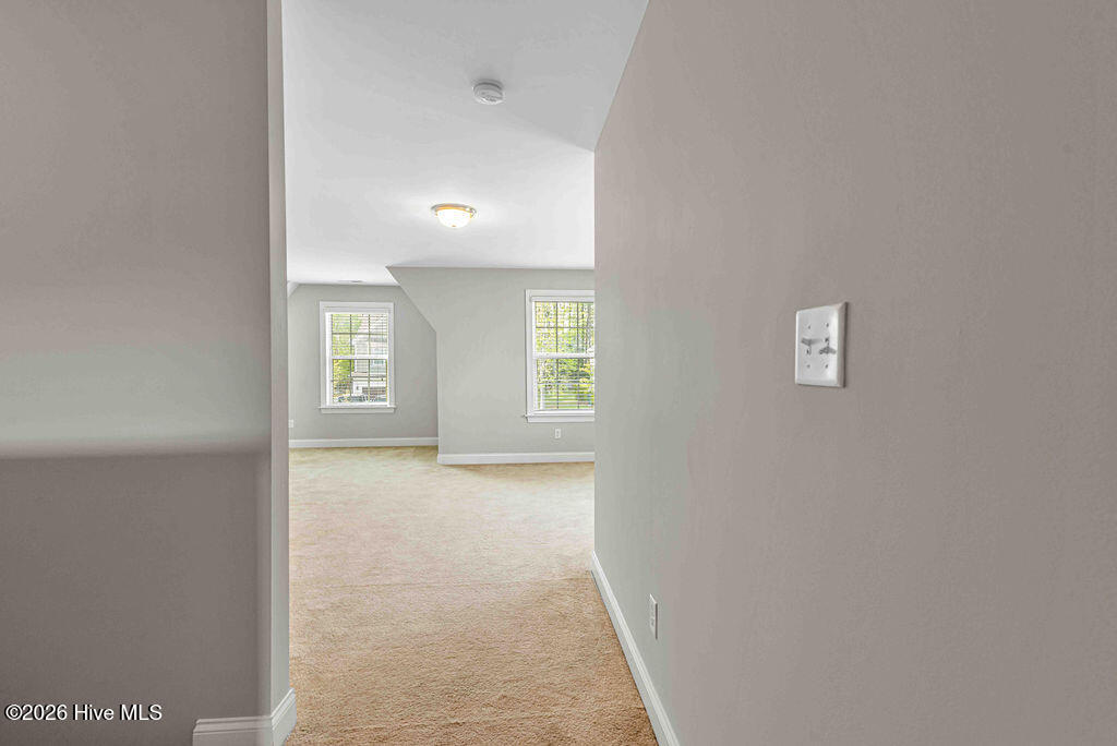 100566446 | Photo 25