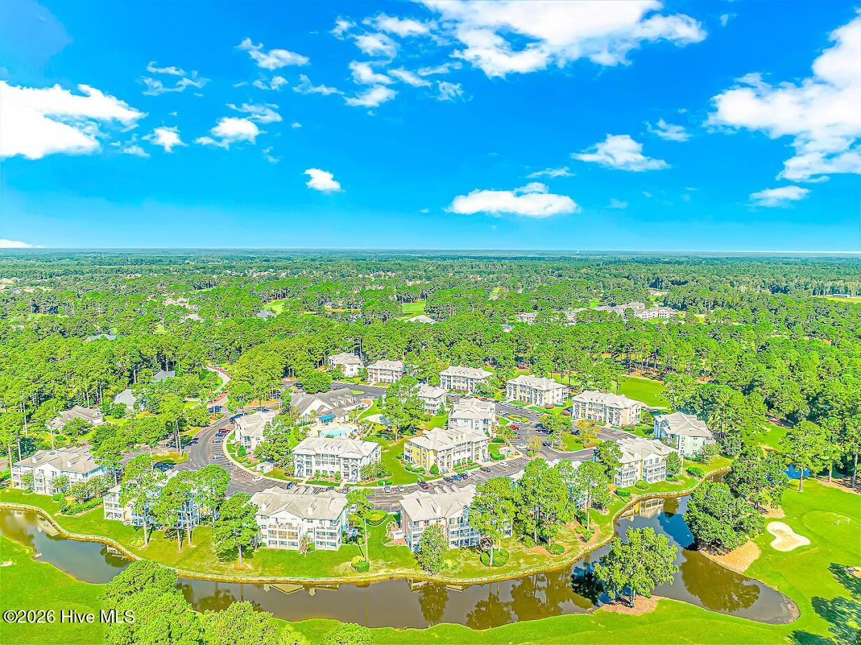 100560957 | Photo 41