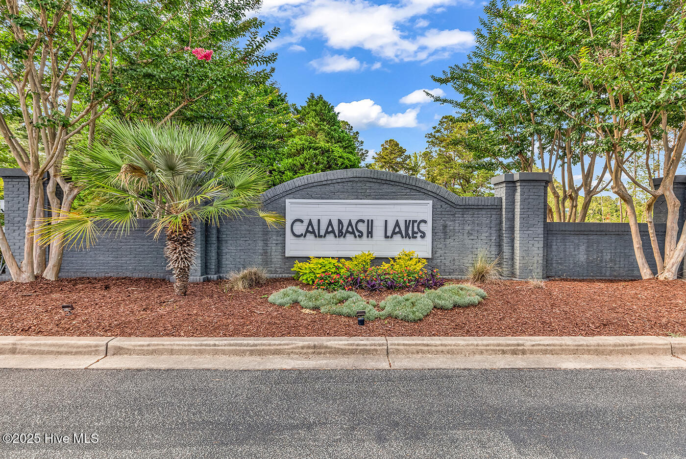 100545538 | Photo 51