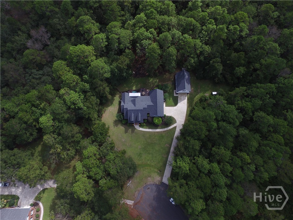 Drone Photo