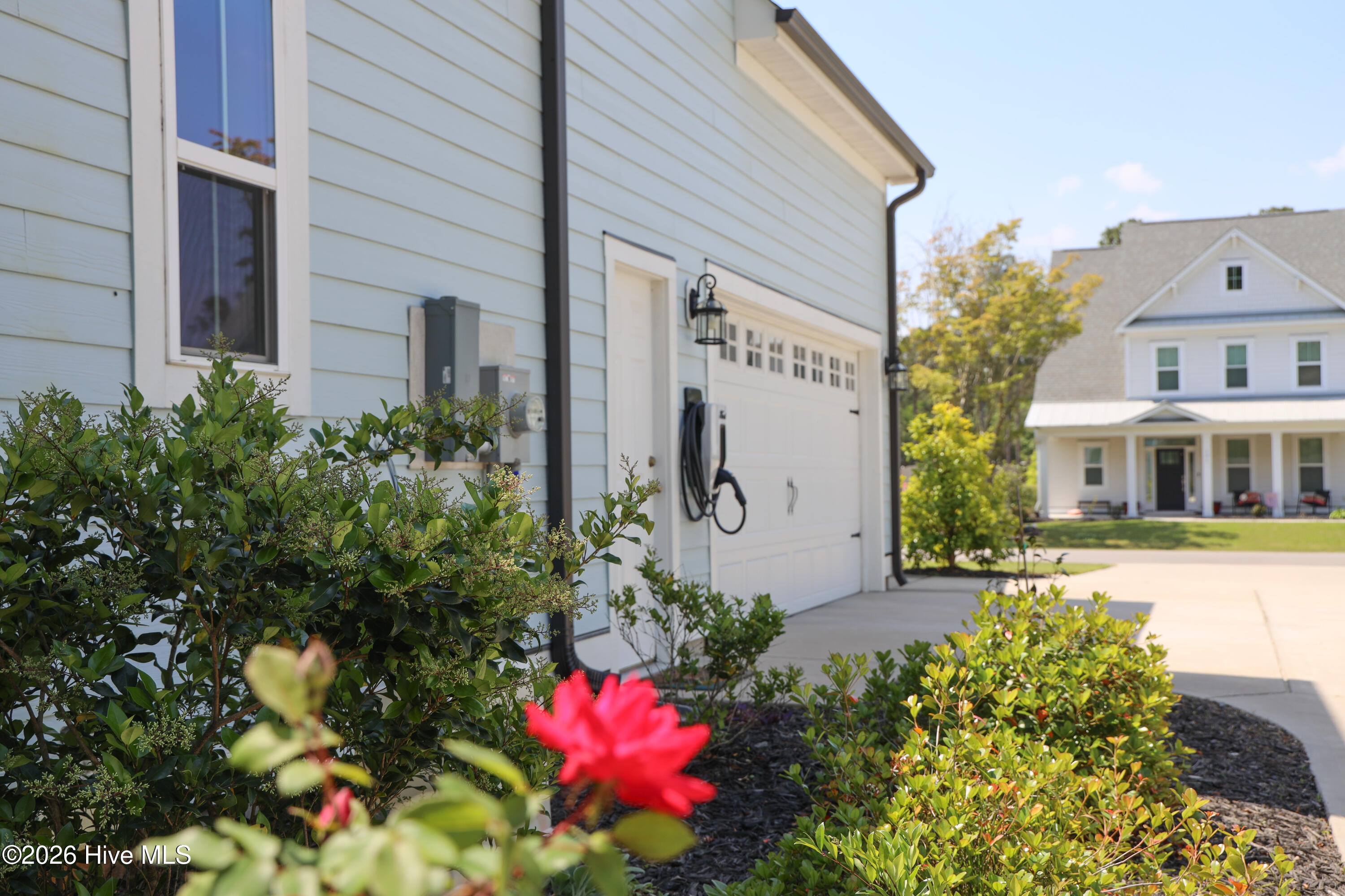 100567915 | Photo 69