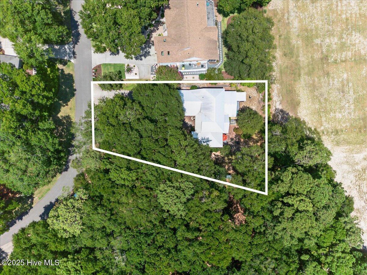 100517839 | Photo 20