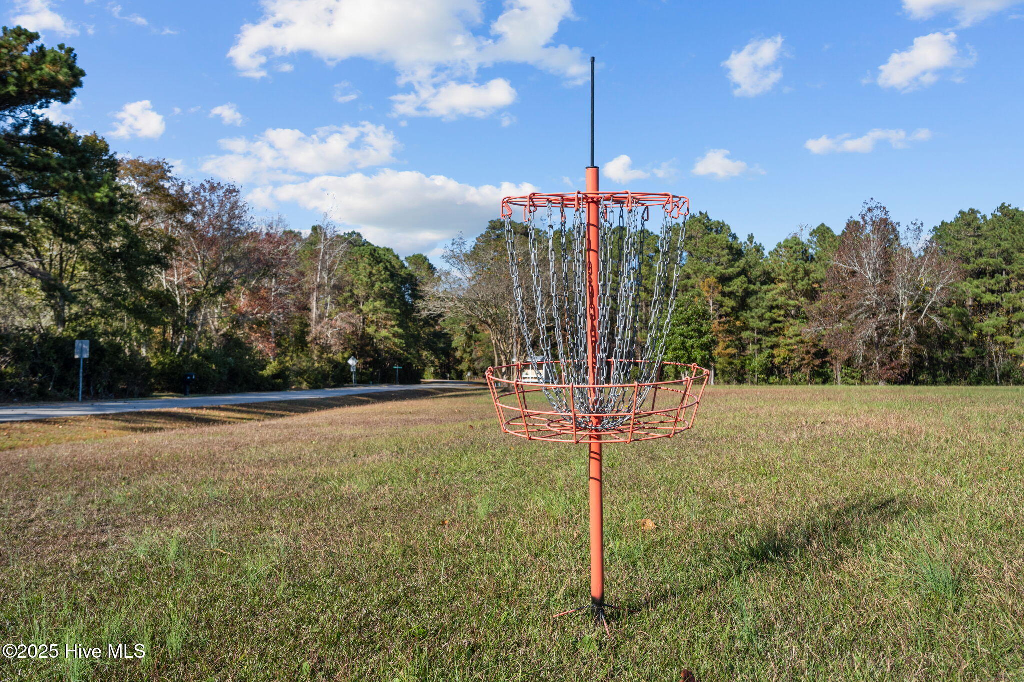 100541666 | Photo 69