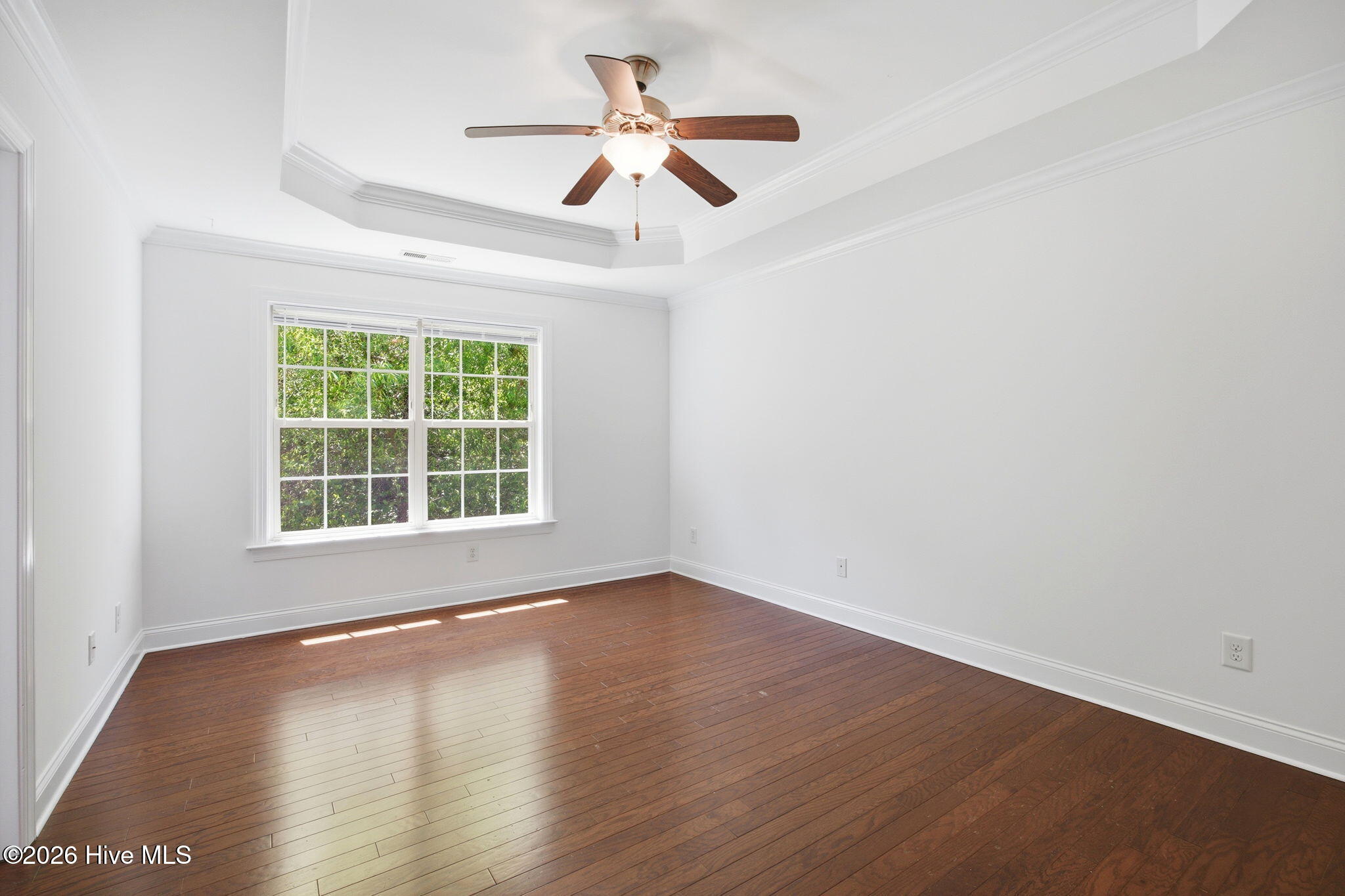 100569504 | Photo 19