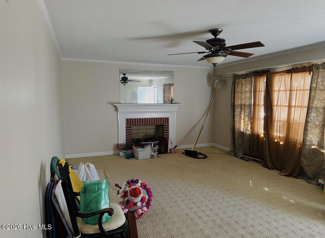 205 Mccoy Avenue,Cove City