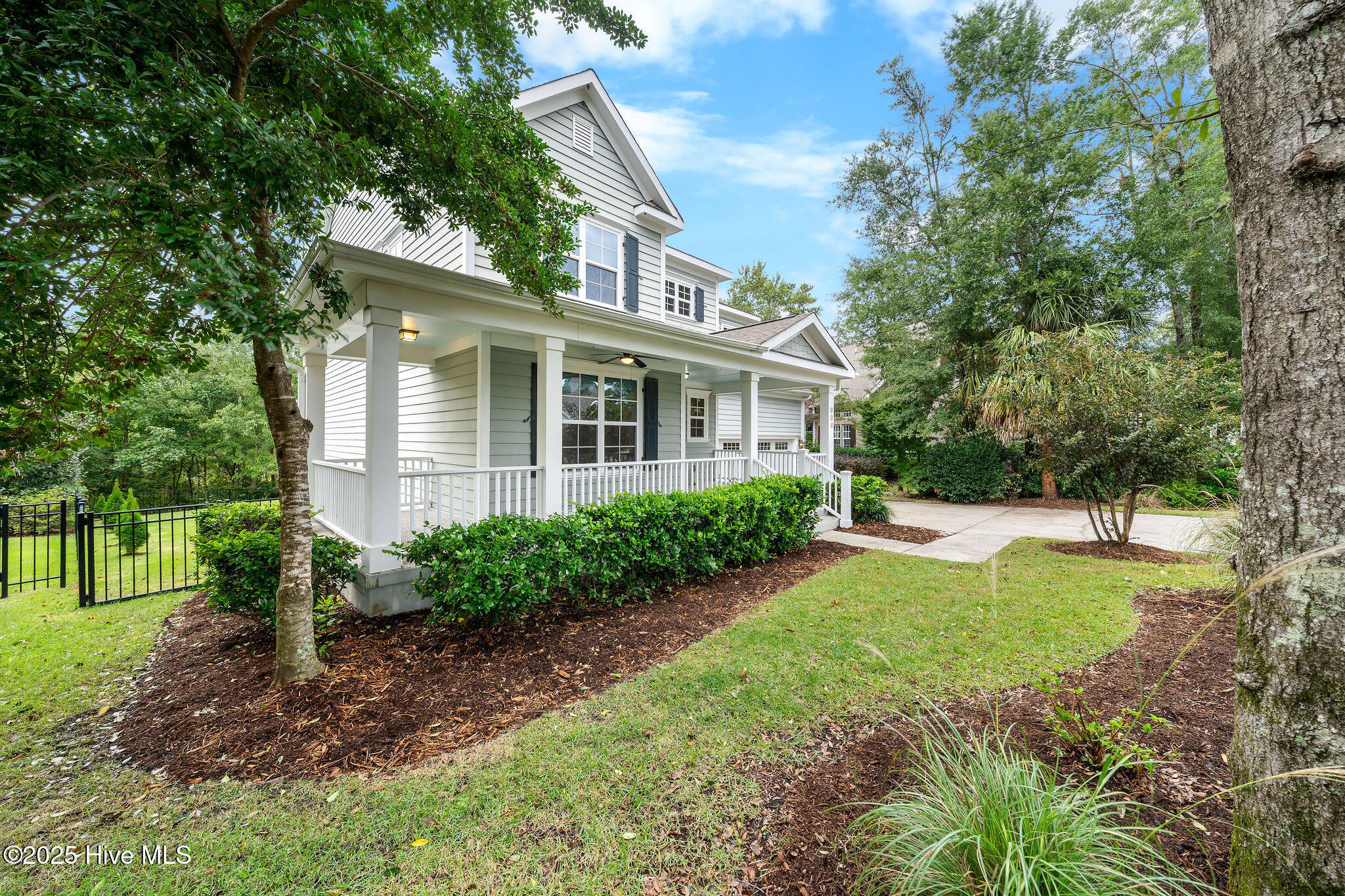 100536544 | Photo 69